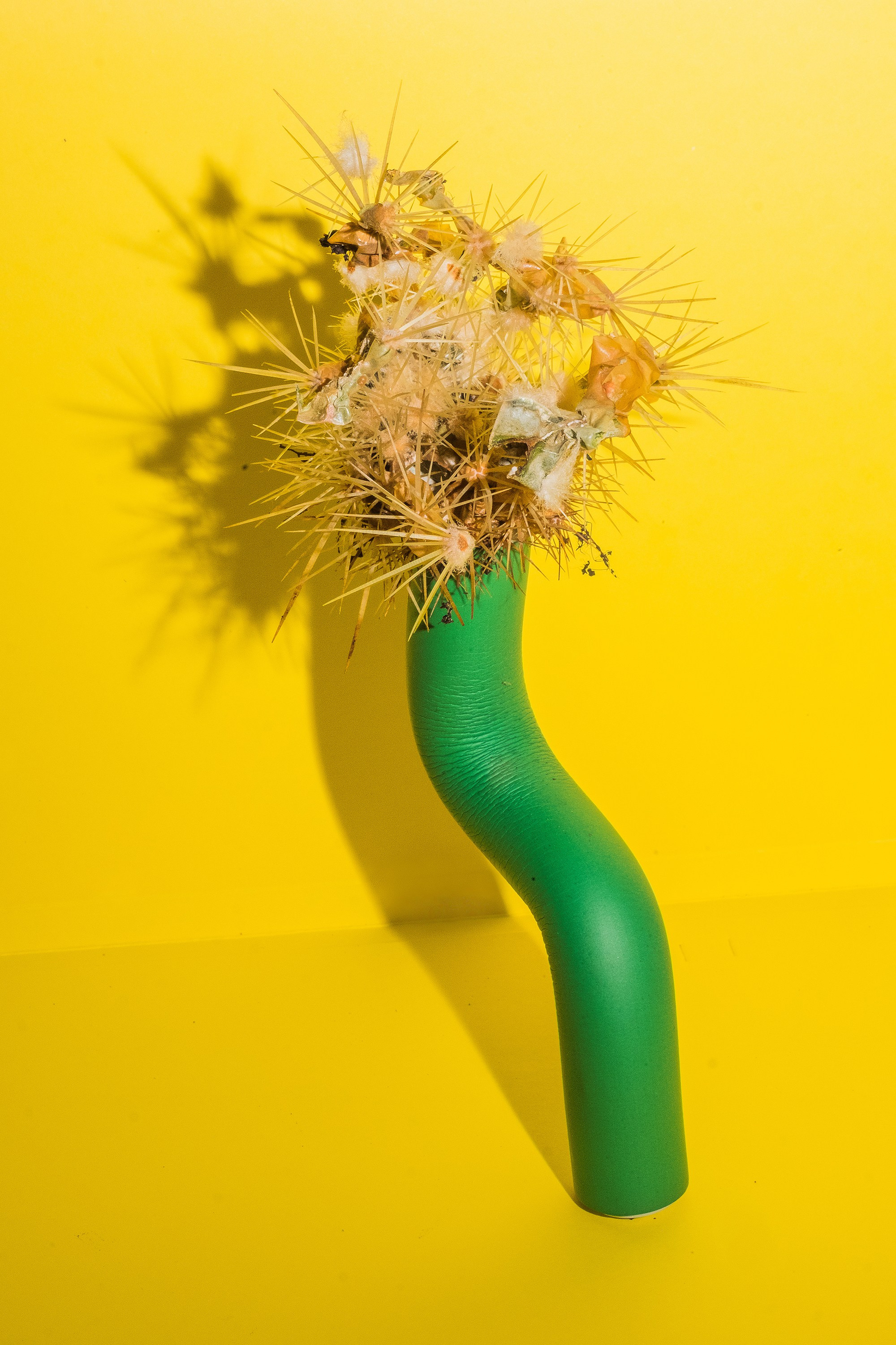 Still Lifes. Стас Понятовский