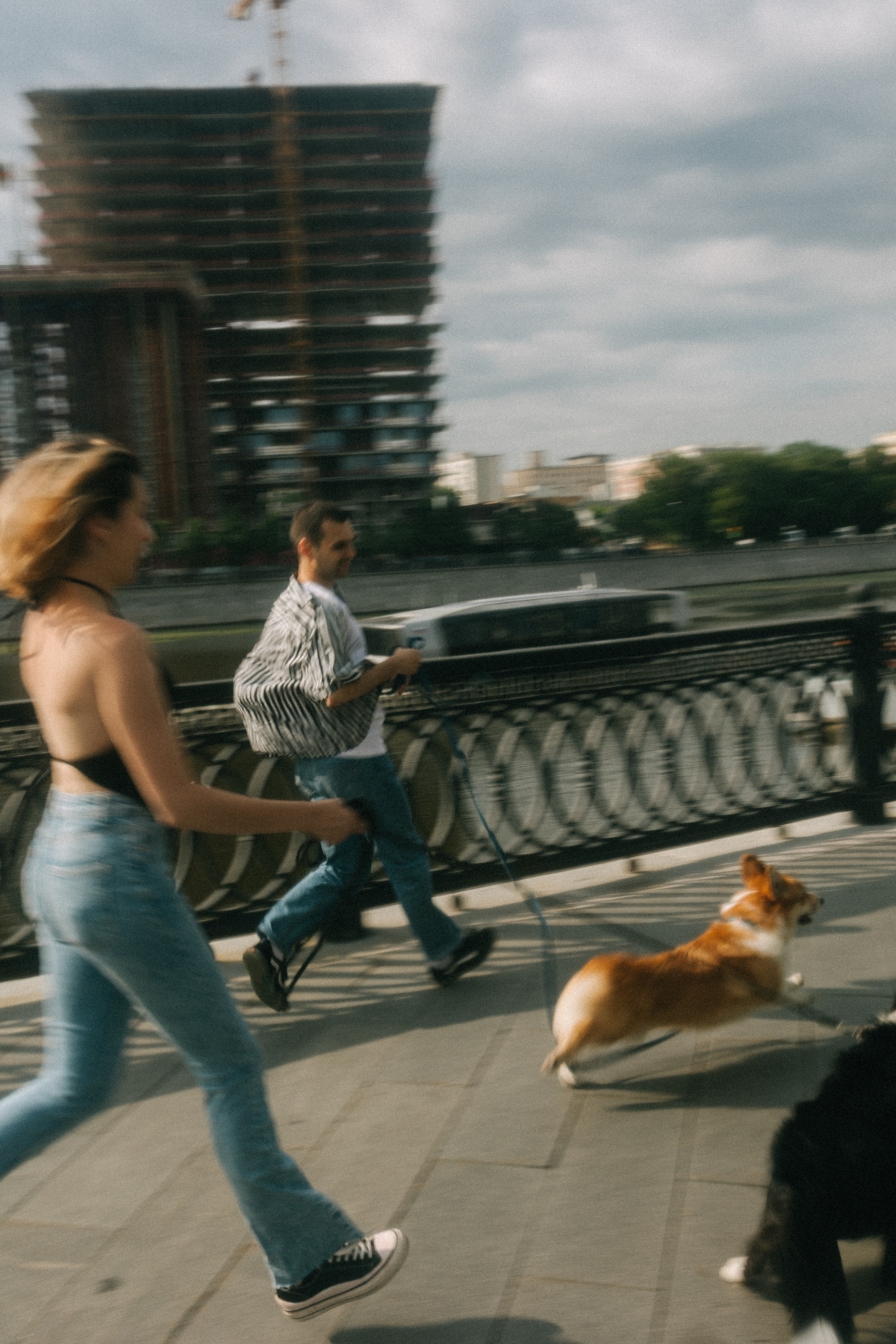 Брюс, Вейв и их ро. Фотораф — анималист Мария Шистка