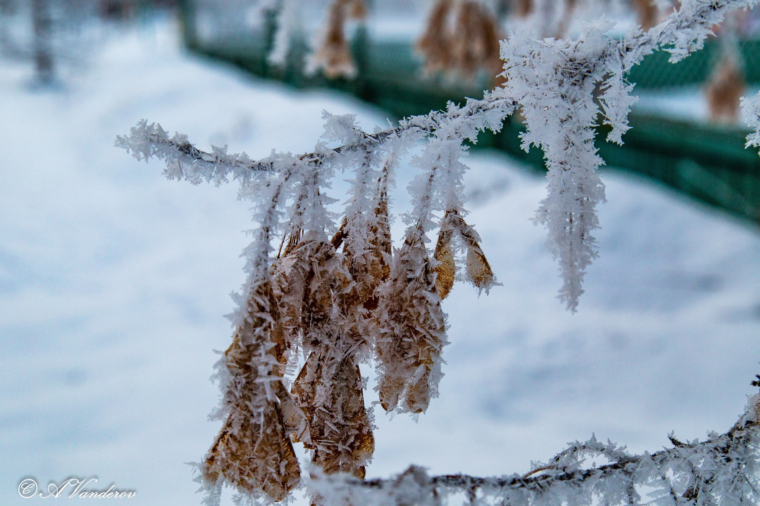 Красота природы. Фотограф Омск | Александр Вандеров