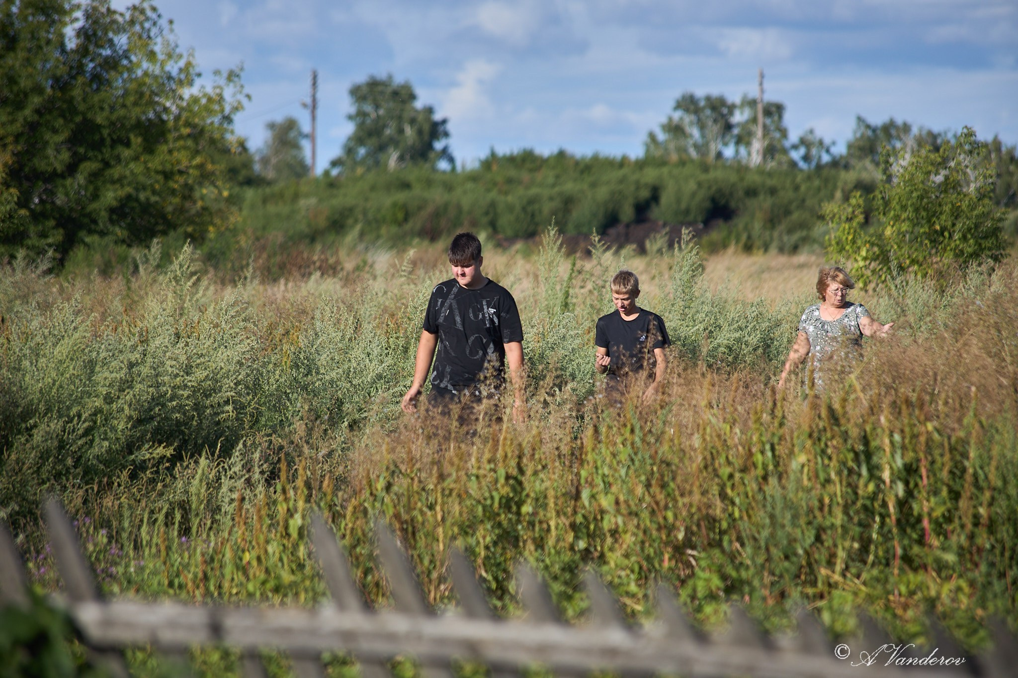 Село Савкино Баганского района Новосибирской области. Фотограф Омск | Александр Вандеров
