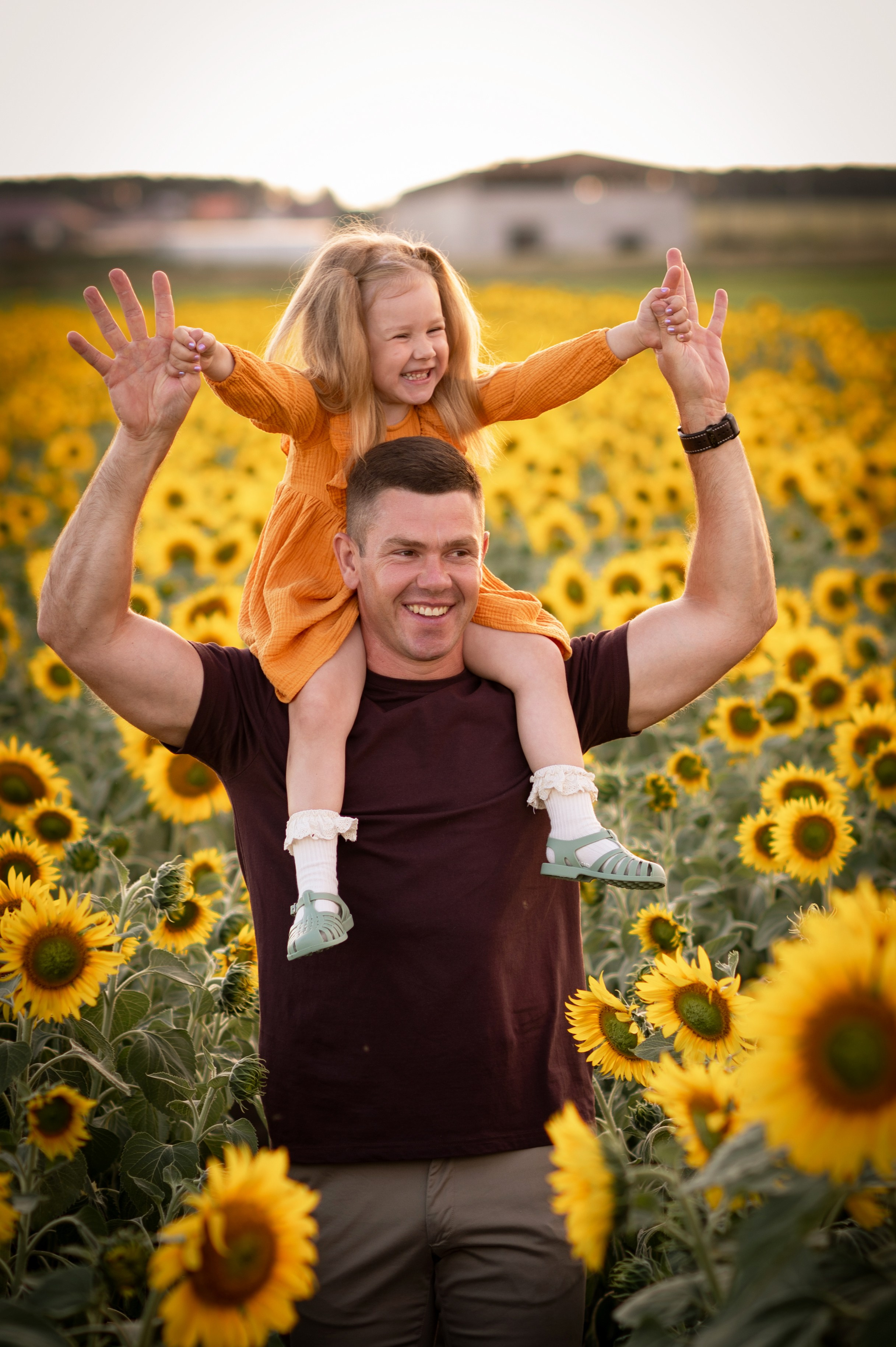 Подсолнухи. Семейный фотограф в Красноярске Надежда Кошелева