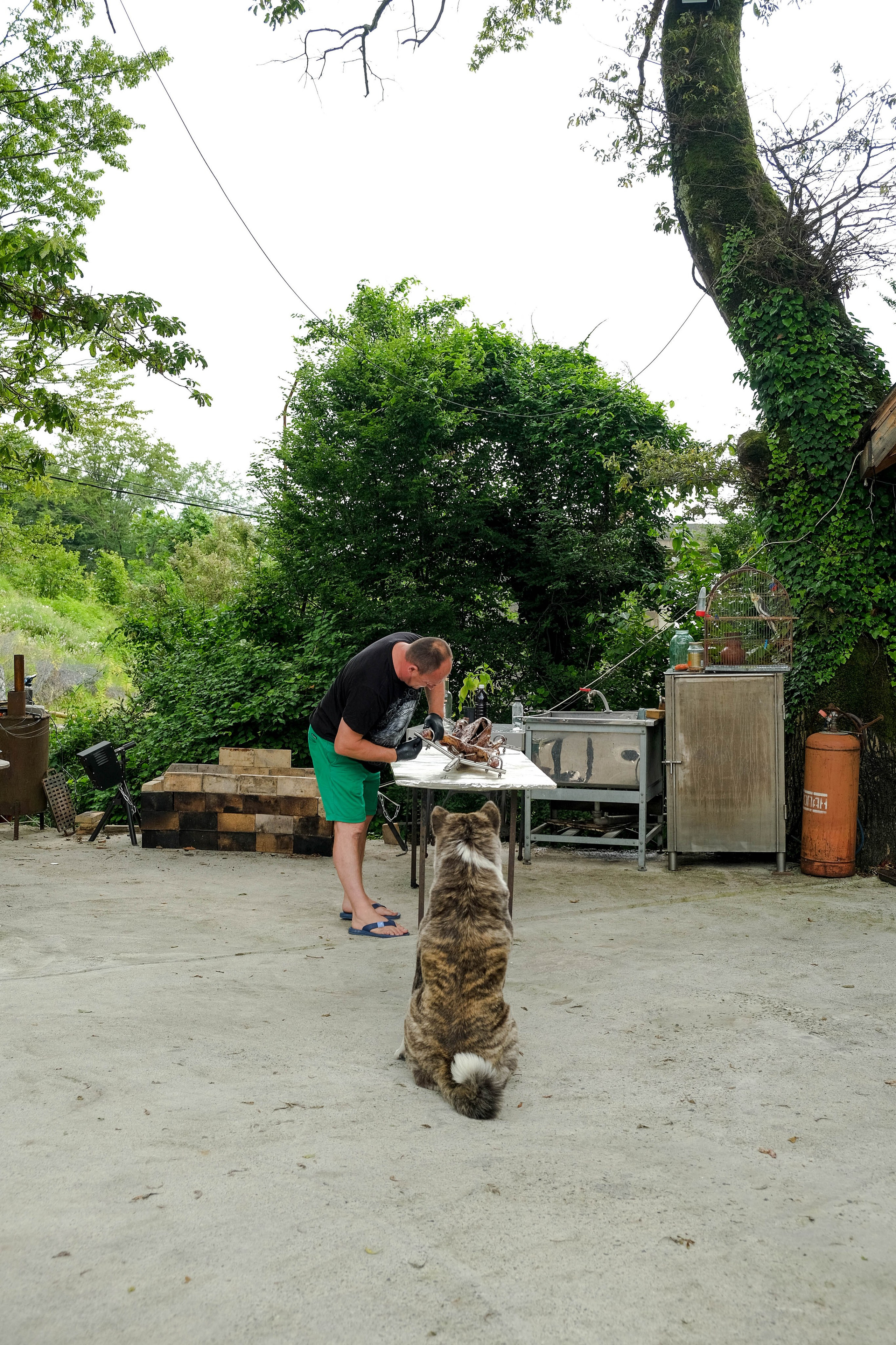 Репортажная съемка