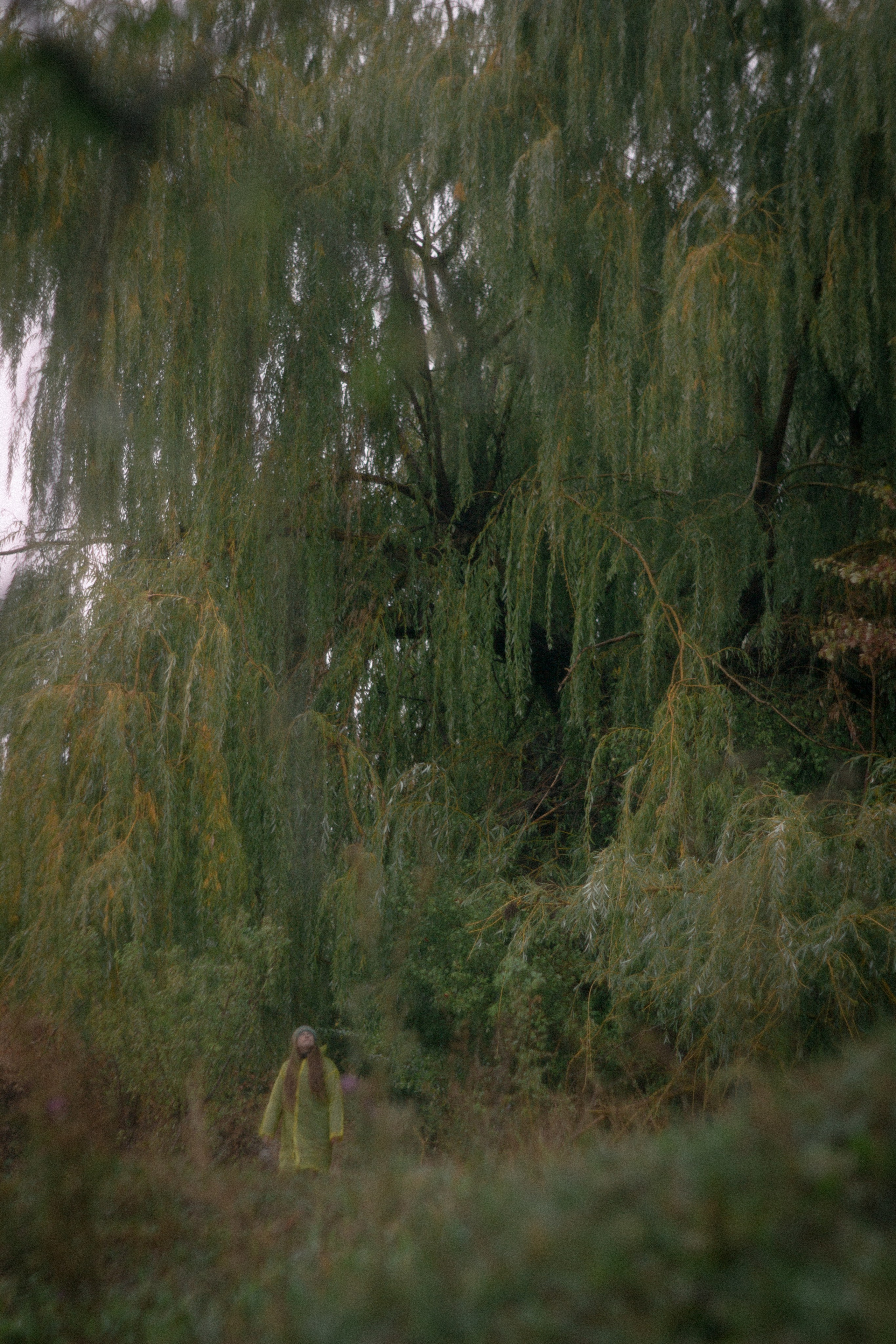 Туманная осень. • Фотограф Александра Светозар Алчевск •