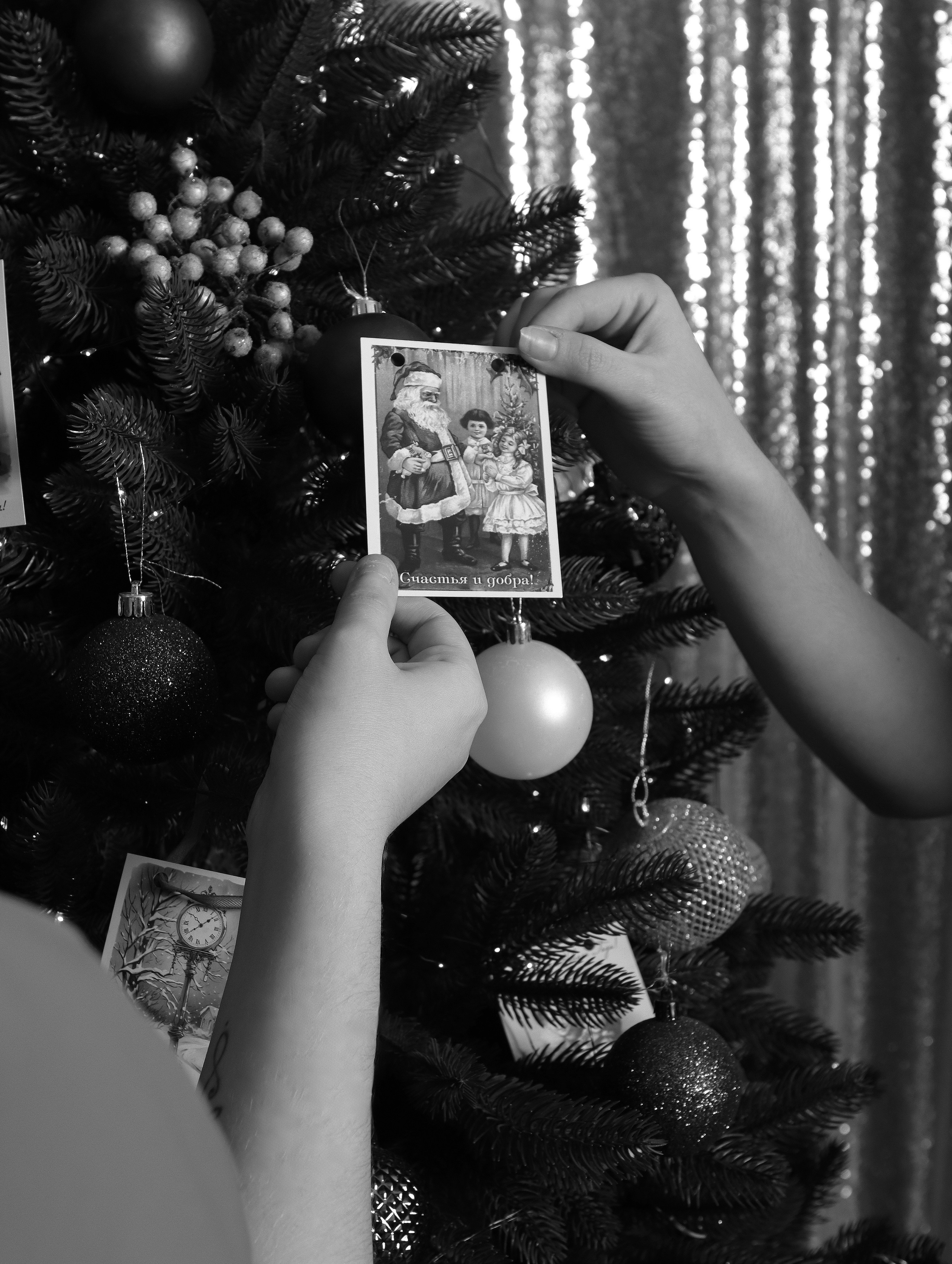 Ирина. Фотограф в Курске Смирнов Евгений