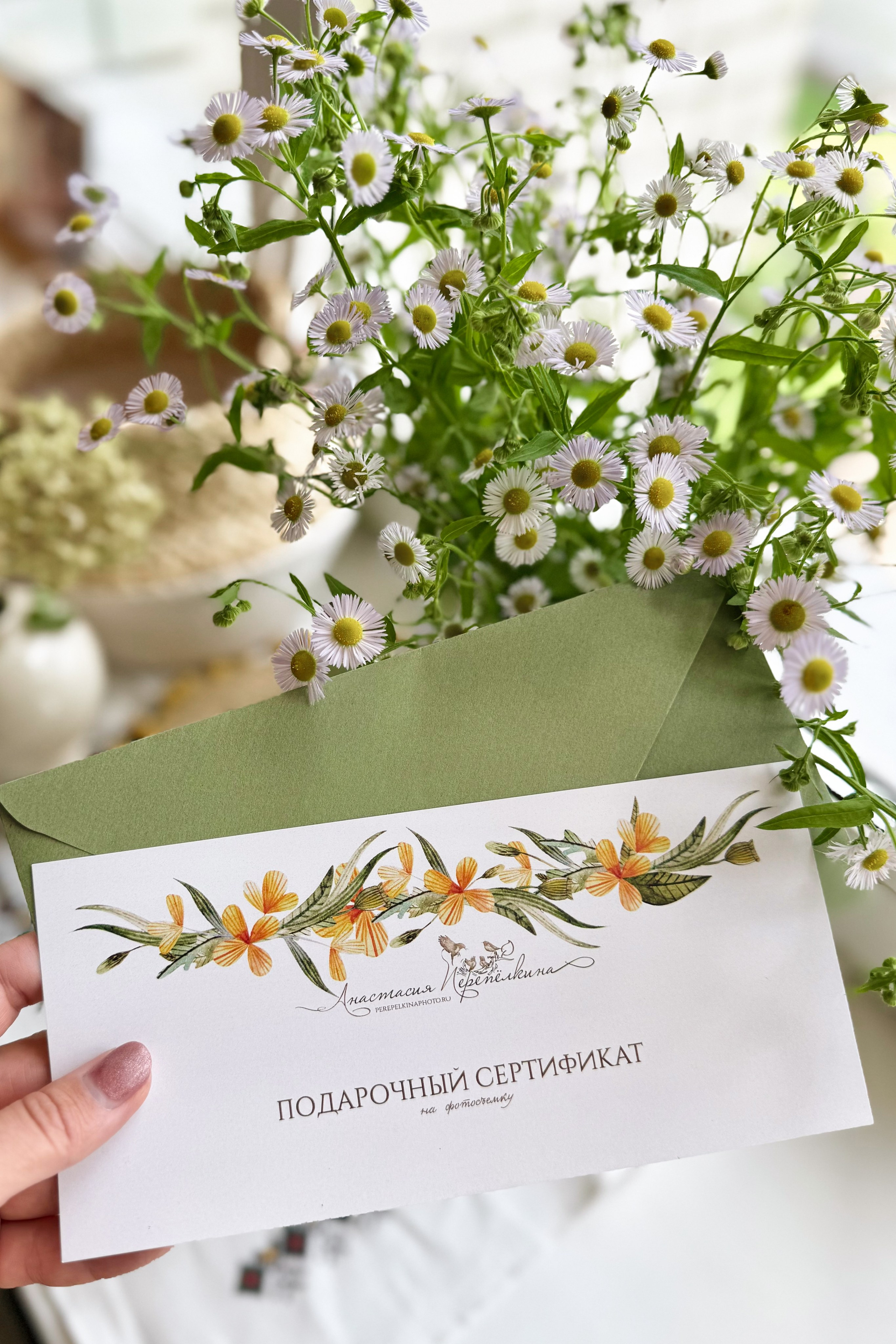 Подарочные сертификаты. Семейный и детский фотограф |Брянск| Анастасия Перепелкина