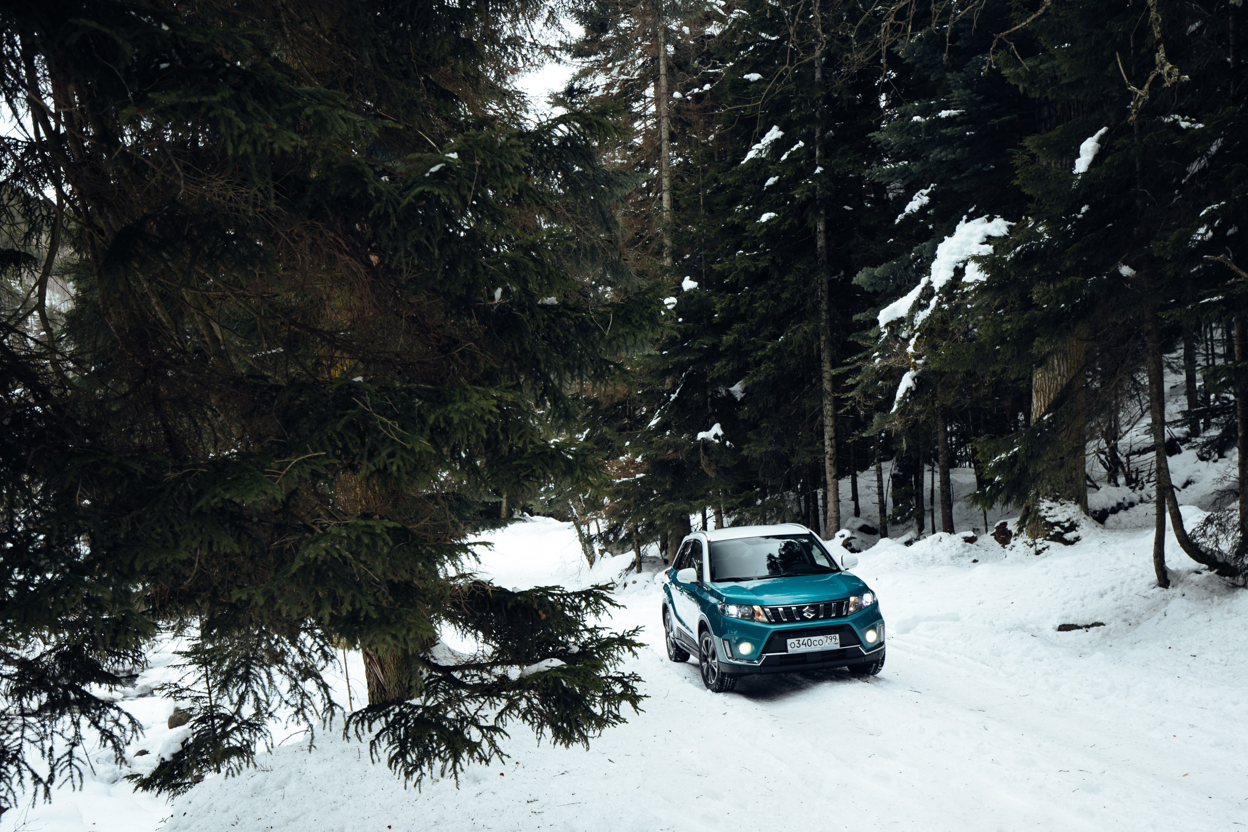 SUZUKI. Вадим Ветров