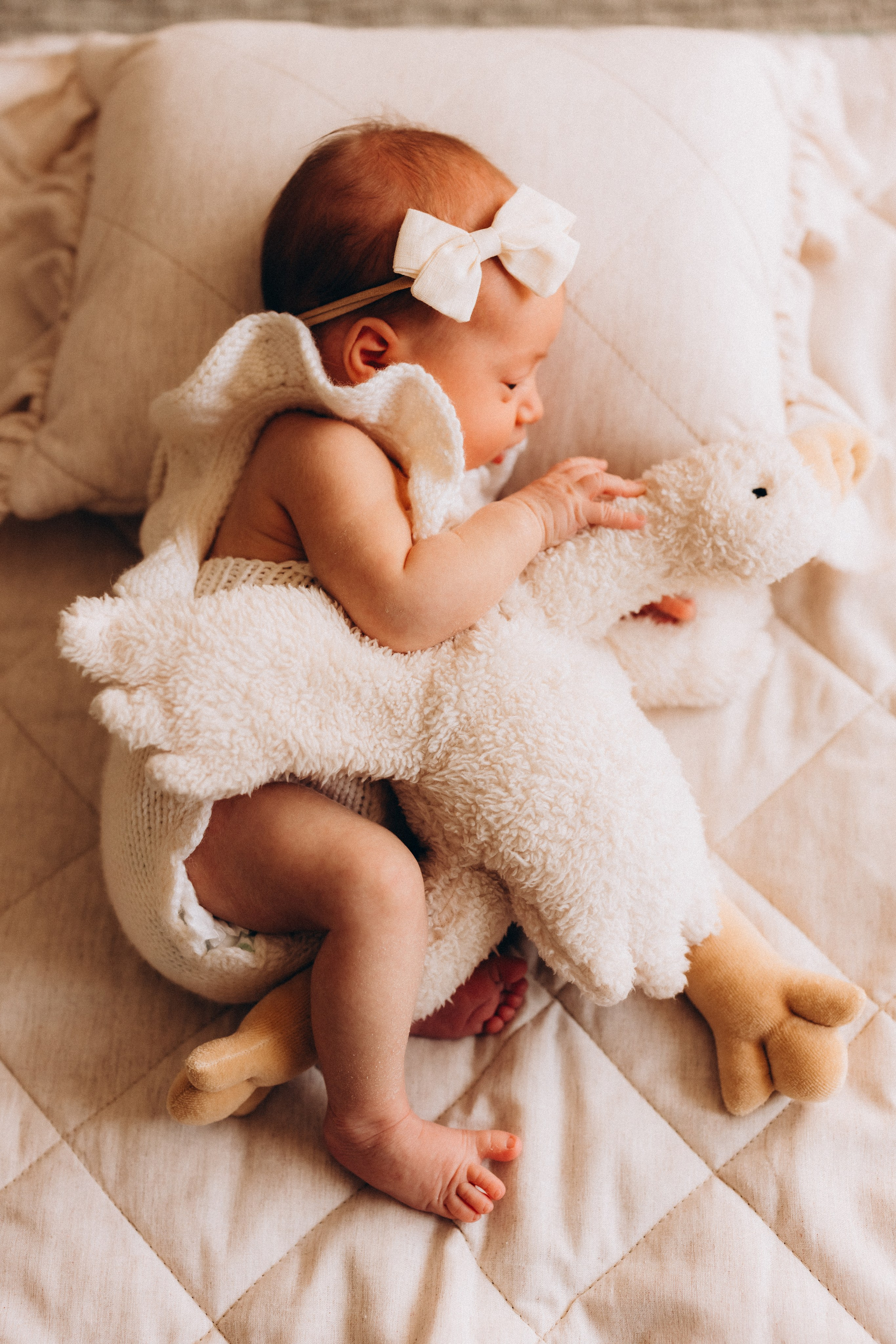 Александра 2 недели. Евгения Пелипас