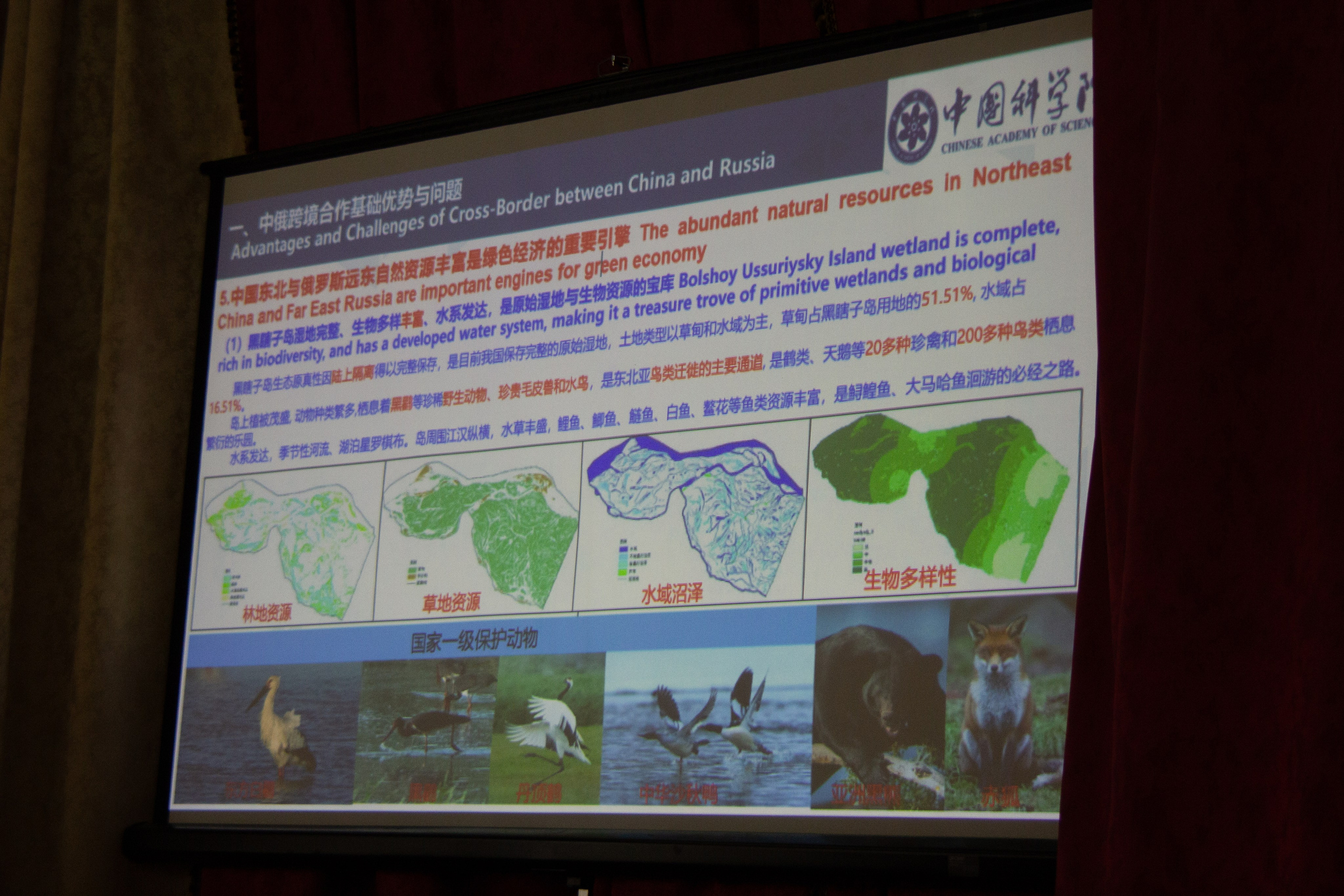 Конференция «Регионы нового освоения. Фотограф в Хабаровске Юлия Чванова