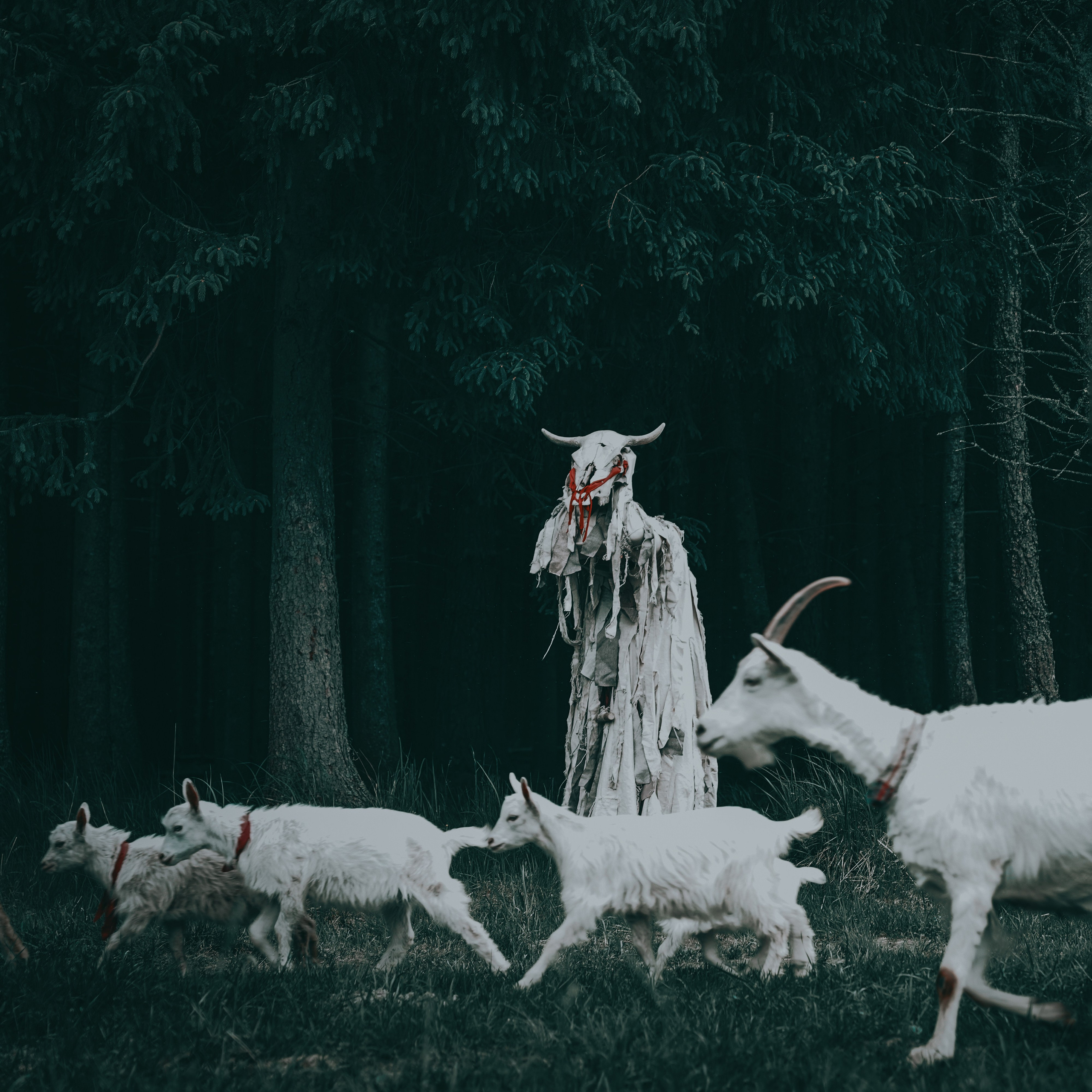 Театр SubRosa *персонажи. Портретный фотограф в Смоленске и Москве Мария Громова