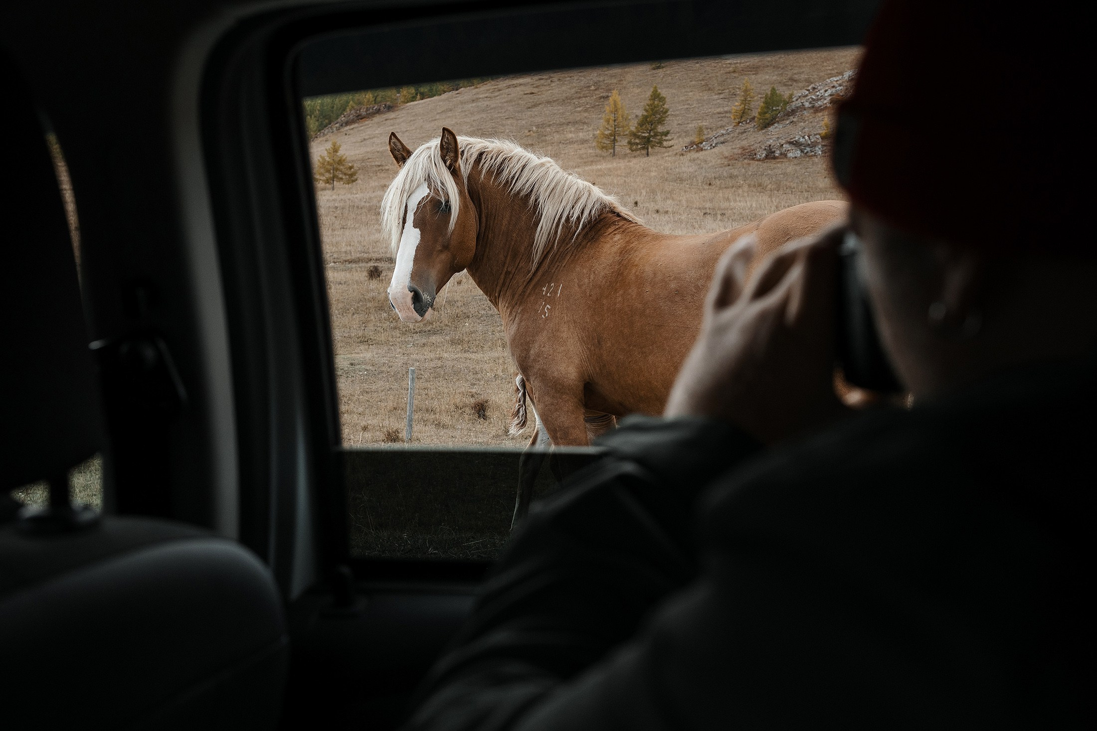 Женя и Яна. Свадебный фотограф в Москве и МО Александр Ласковенков