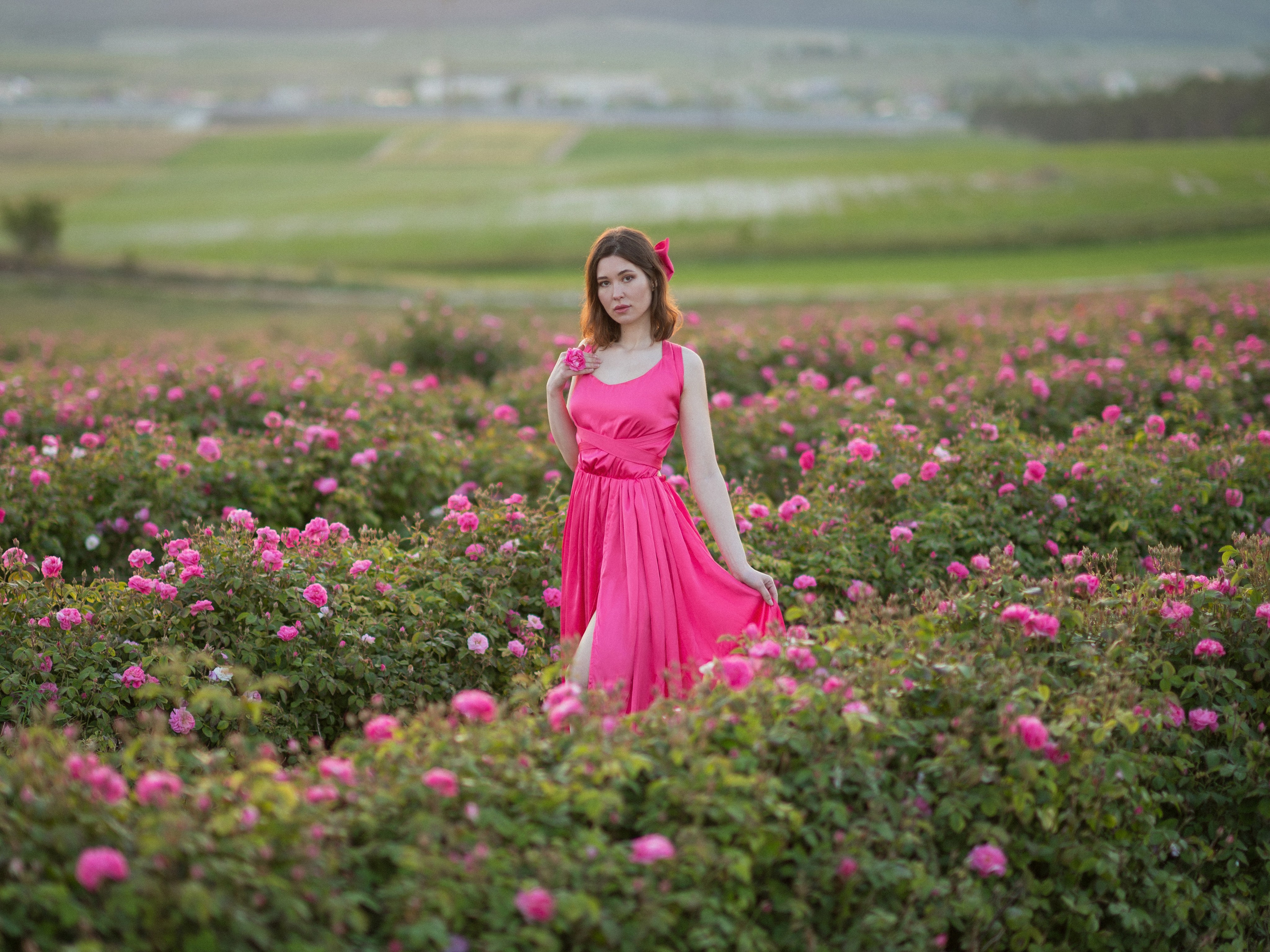 Что цветет в Крыму зимой, весной, летом и осенью. Семейный фотограф в Севастополе и Крыму Александра Погребняк