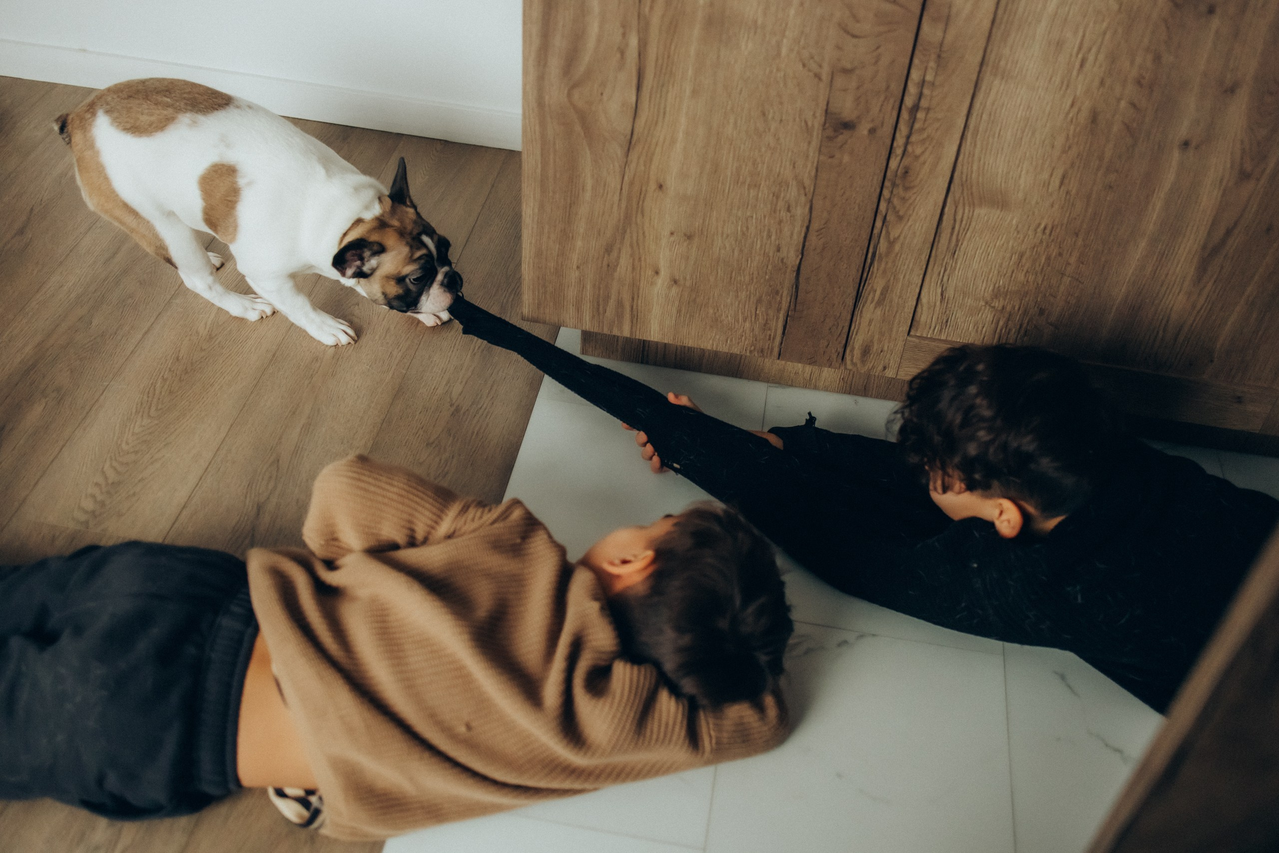 Руслан, Тимур и Луна. Семейный фотограф Москва