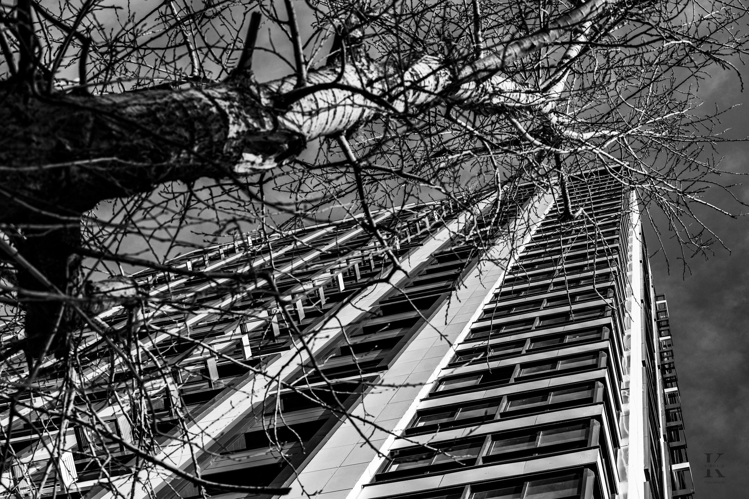 Весна в Савеловском 2026. Фотографирую жизнь! Московский фотограф волонтер