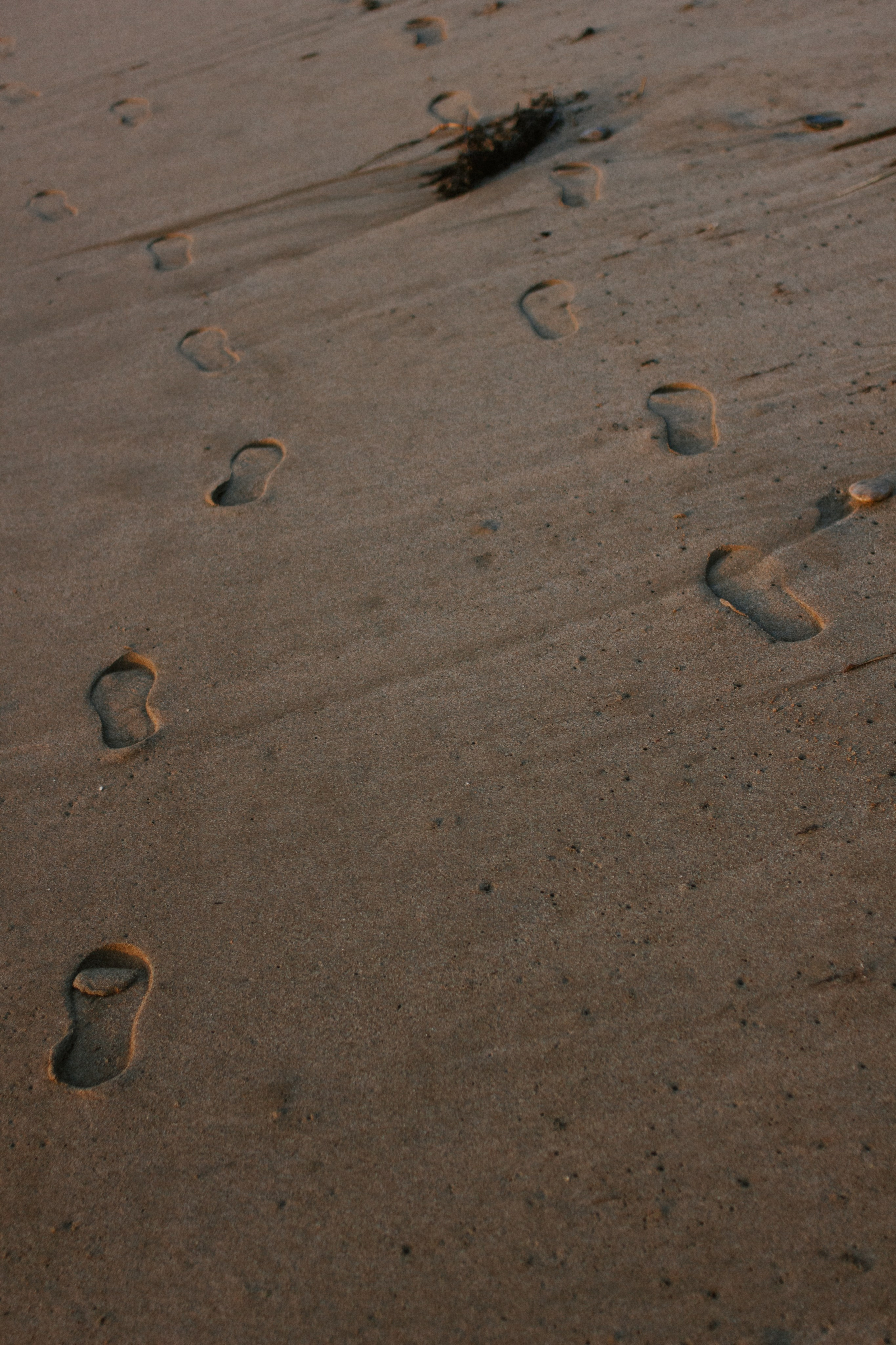 Любовь сквозь года. Алена Орлова | Фотограф | Севастополь