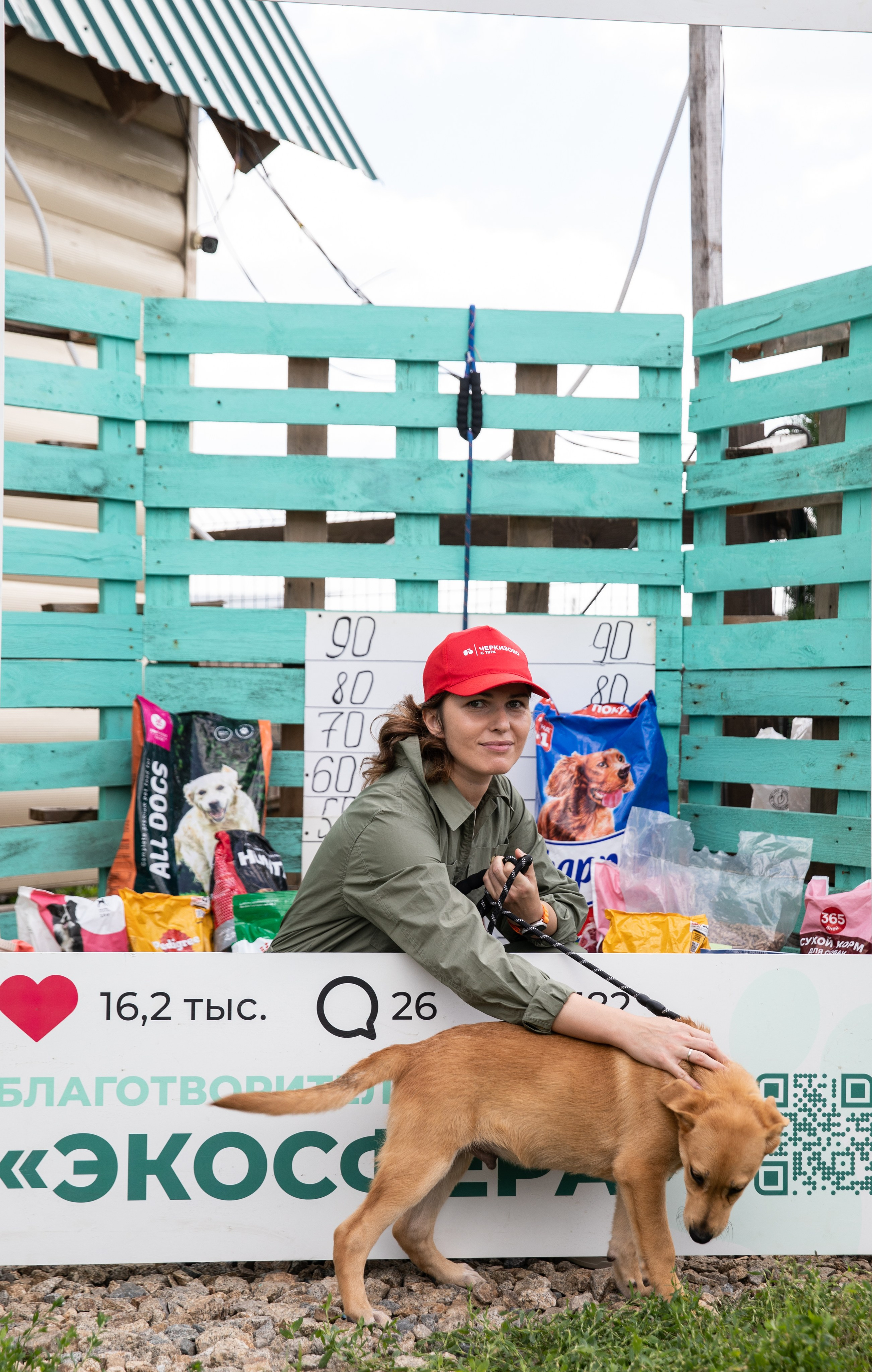 Приют — Наш дом. Репортажный и свадебный фотограф в Челябинске Елисеев Павел