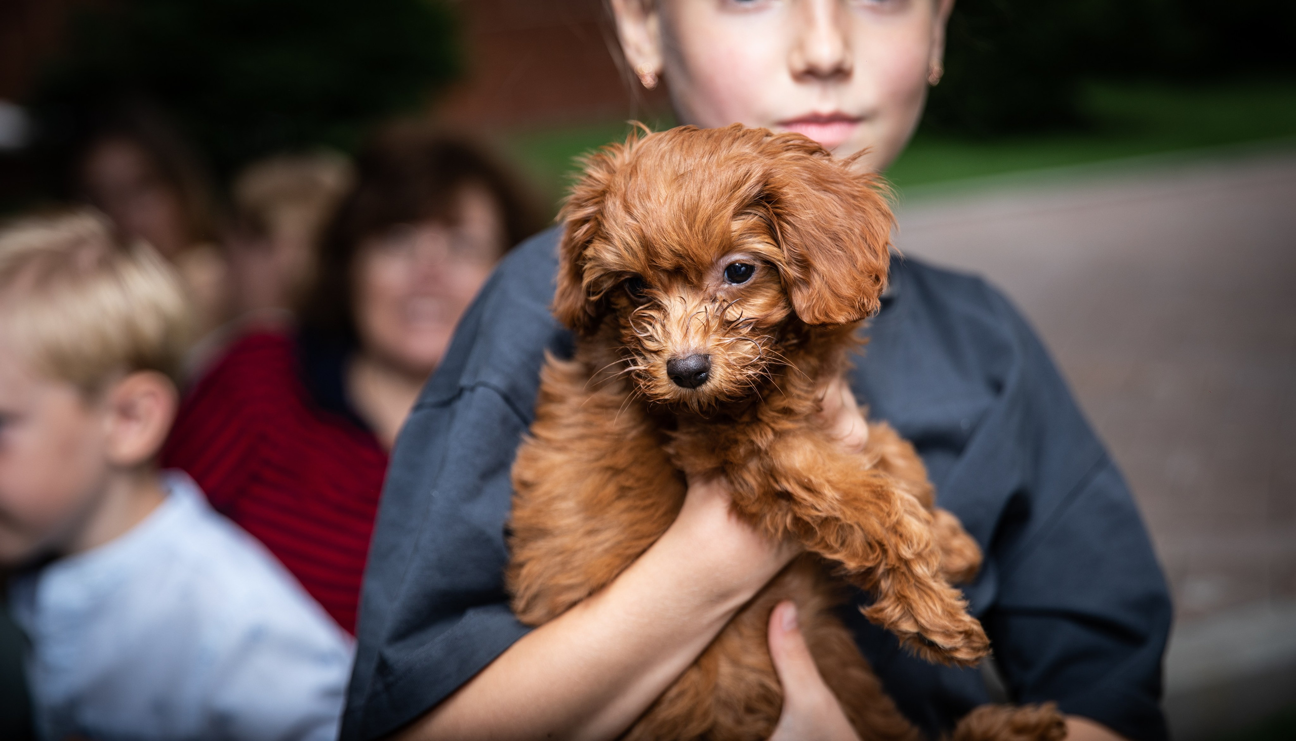 День Рождения Егорки -2025. VoronEvent. Репортажный и свадебный фотограф в Челябинске Елисеев Павел