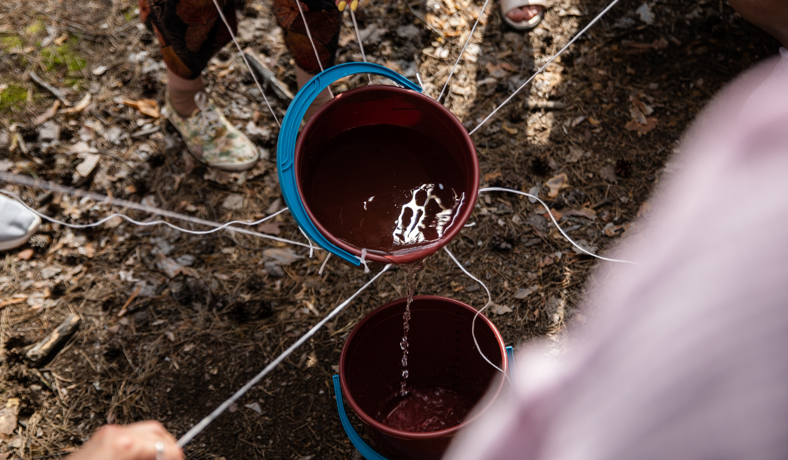 ФармWest — Фармленд. Репортажный и свадебный фотограф в Челябинске Елисеев Павел