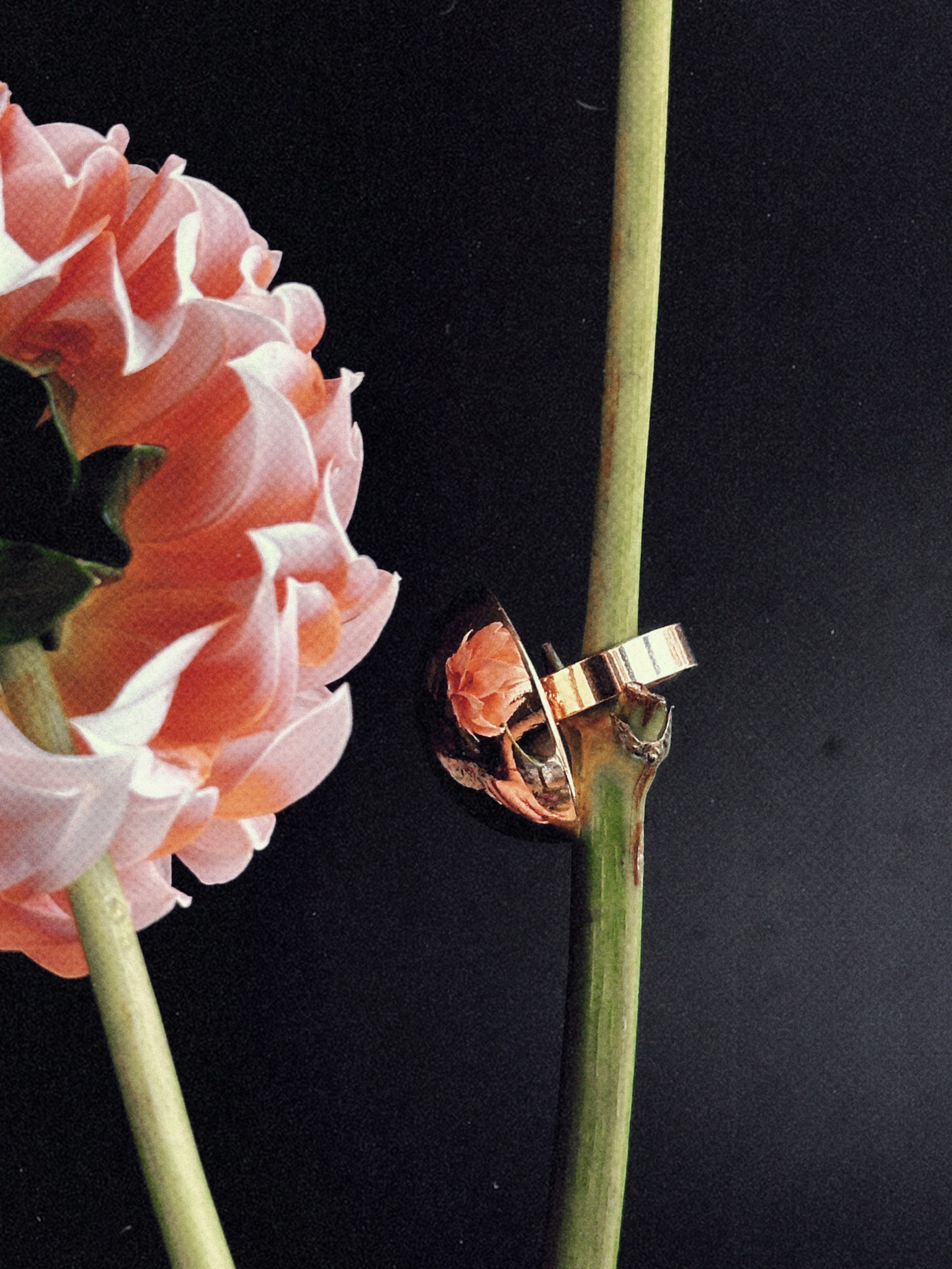 Предметная съёмка. Чувственный мобильный фотограф в Казани и Сочи Дьяченко Дарья