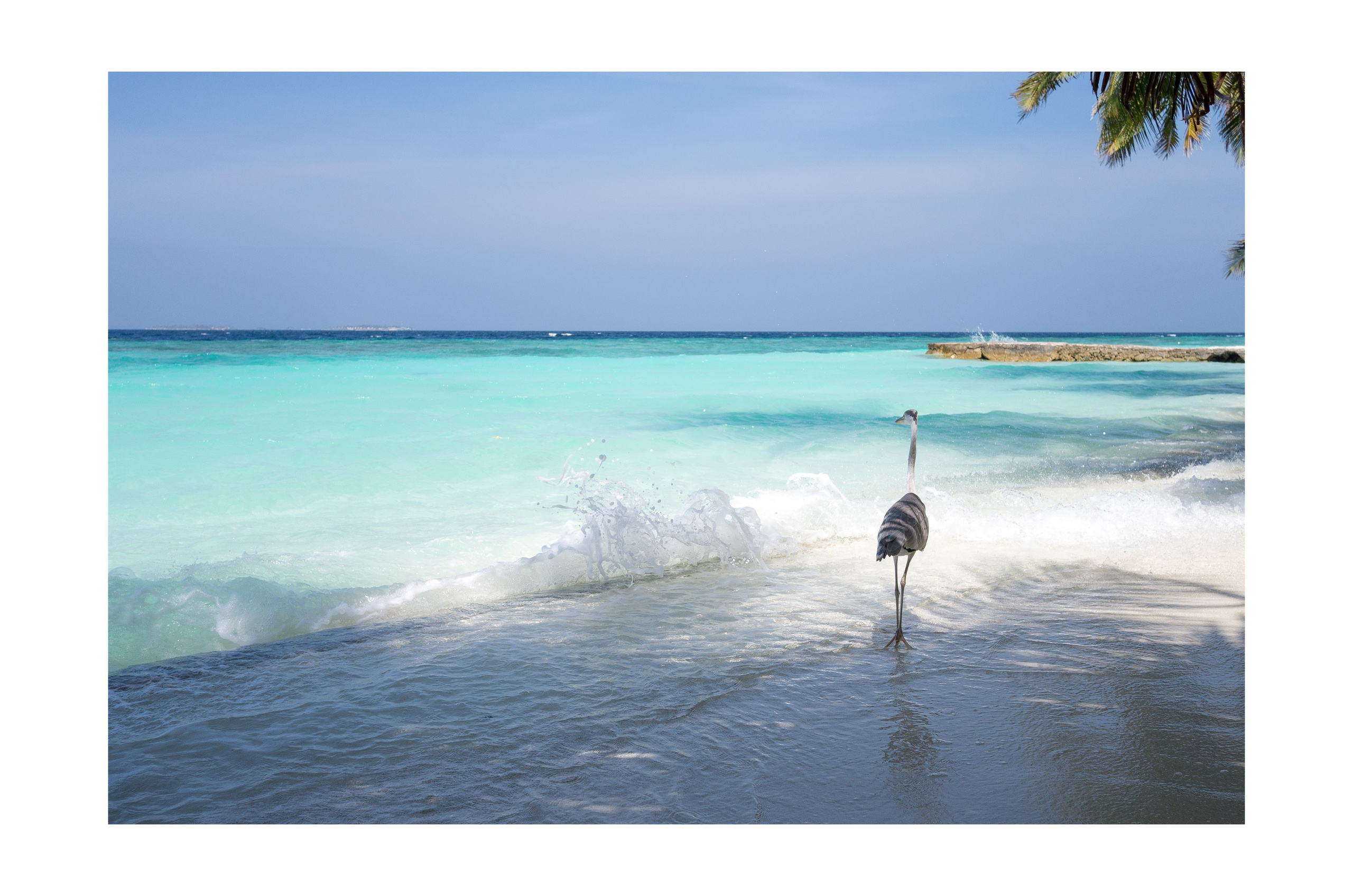 Интерьерные фотографии Мальдив. Фотографии Руслана Сайдалиева (Рус Сай)