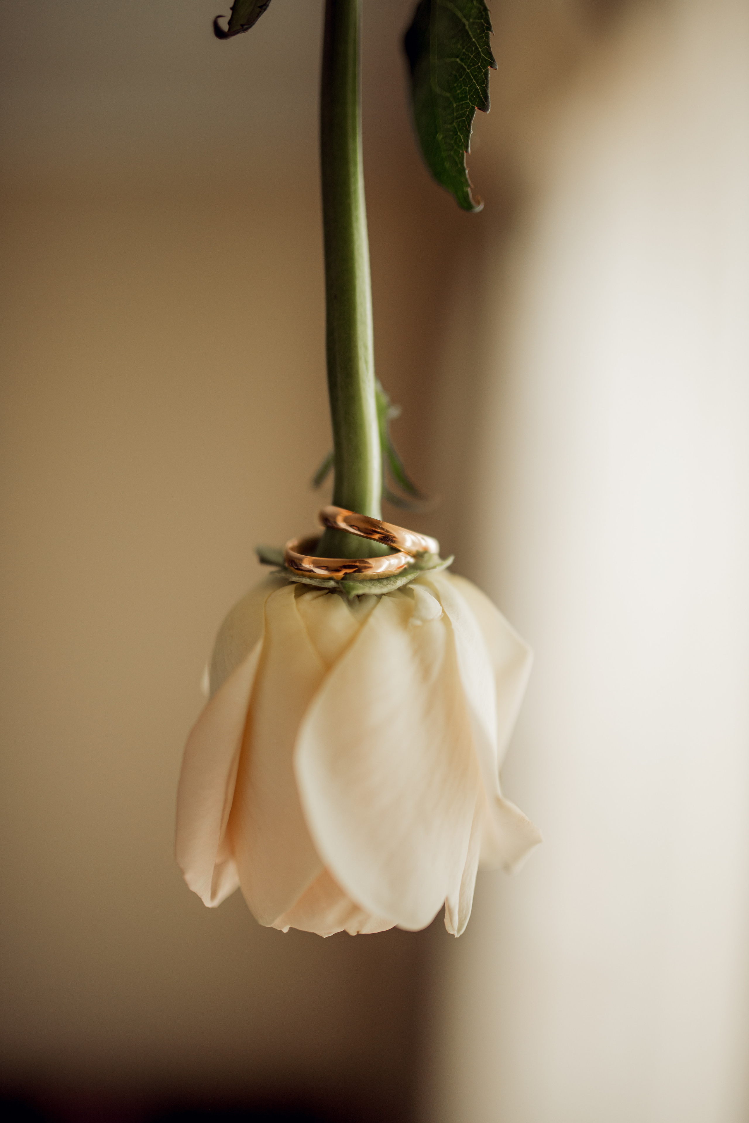 Свадебная фотография. Семейный и свадебный фотограф в Донецке Елена Гордеева