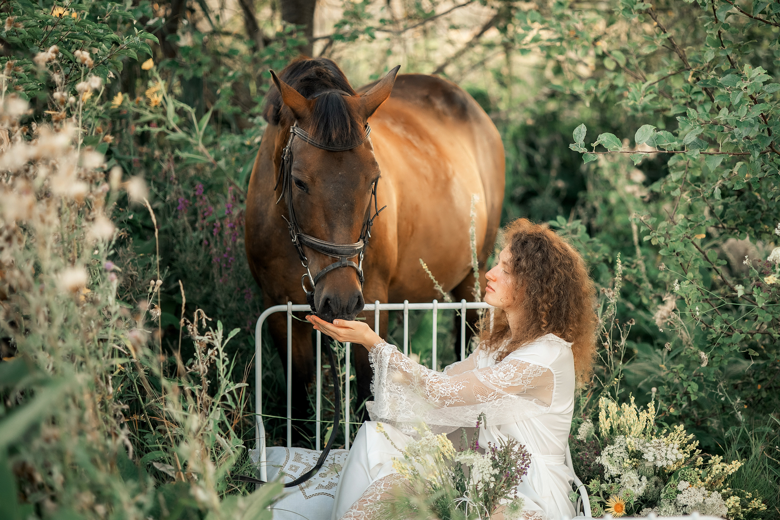 Лошади. Художественный фотограф Анапа Александра Долбикова