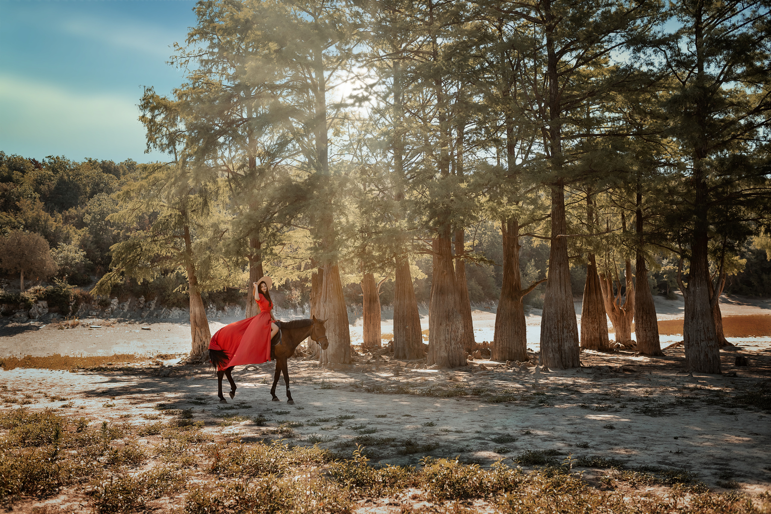 Лошади. Художественный фотограф Анапа Александра Долбикова