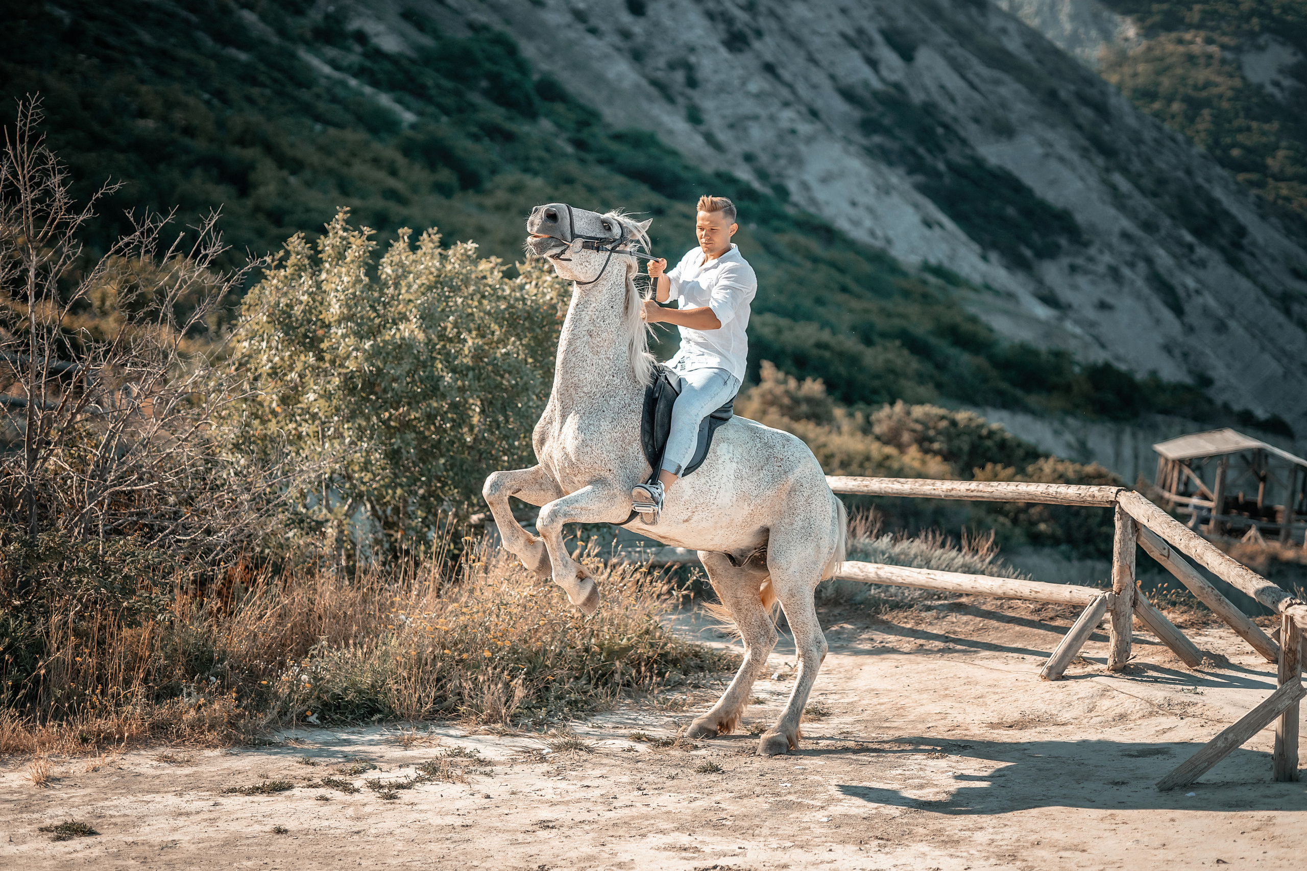 Лошади. Художественный фотограф Анапа Александра Долбикова