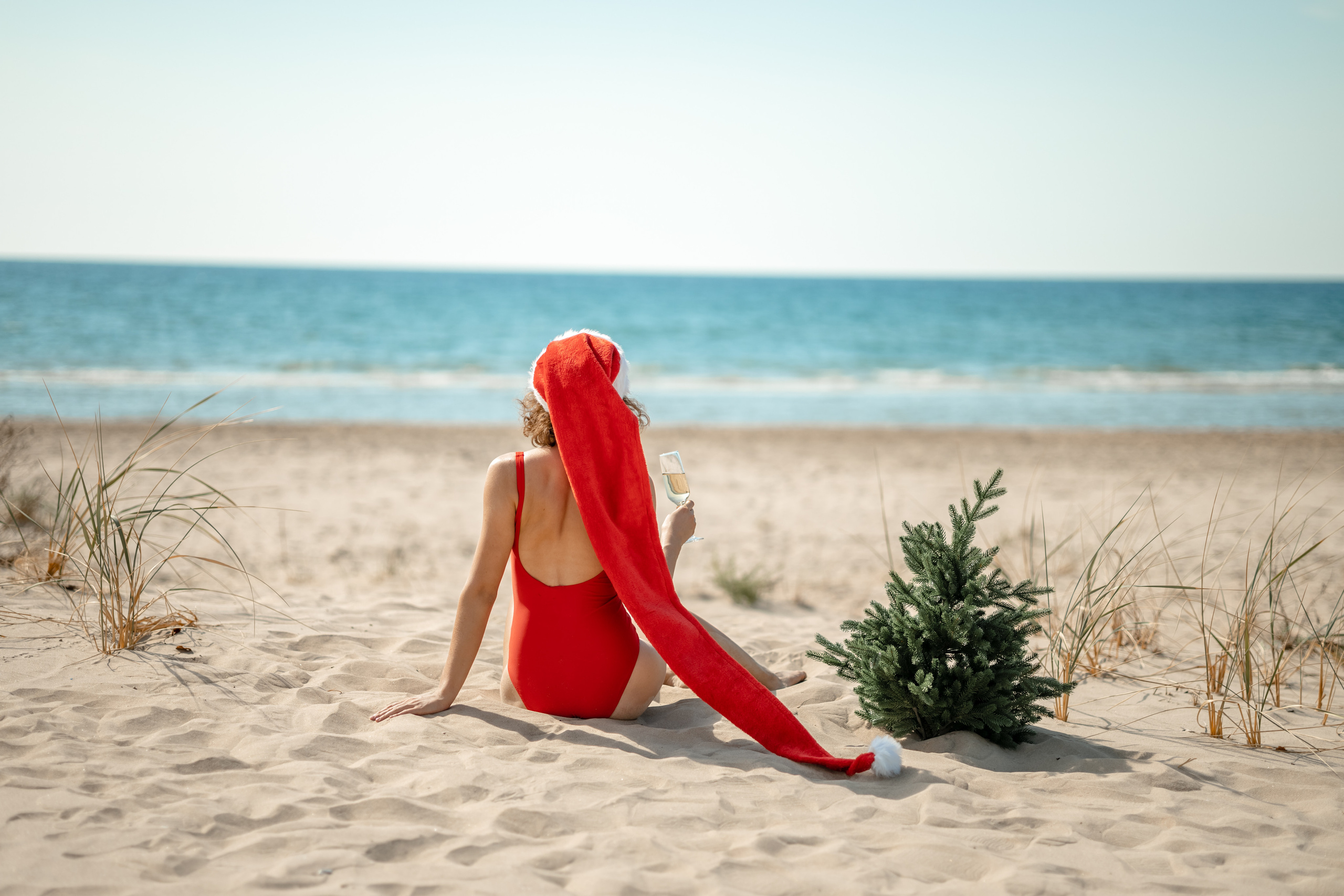 Новогодние прогулки. Художественный фотограф Анапа Александра Долбикова