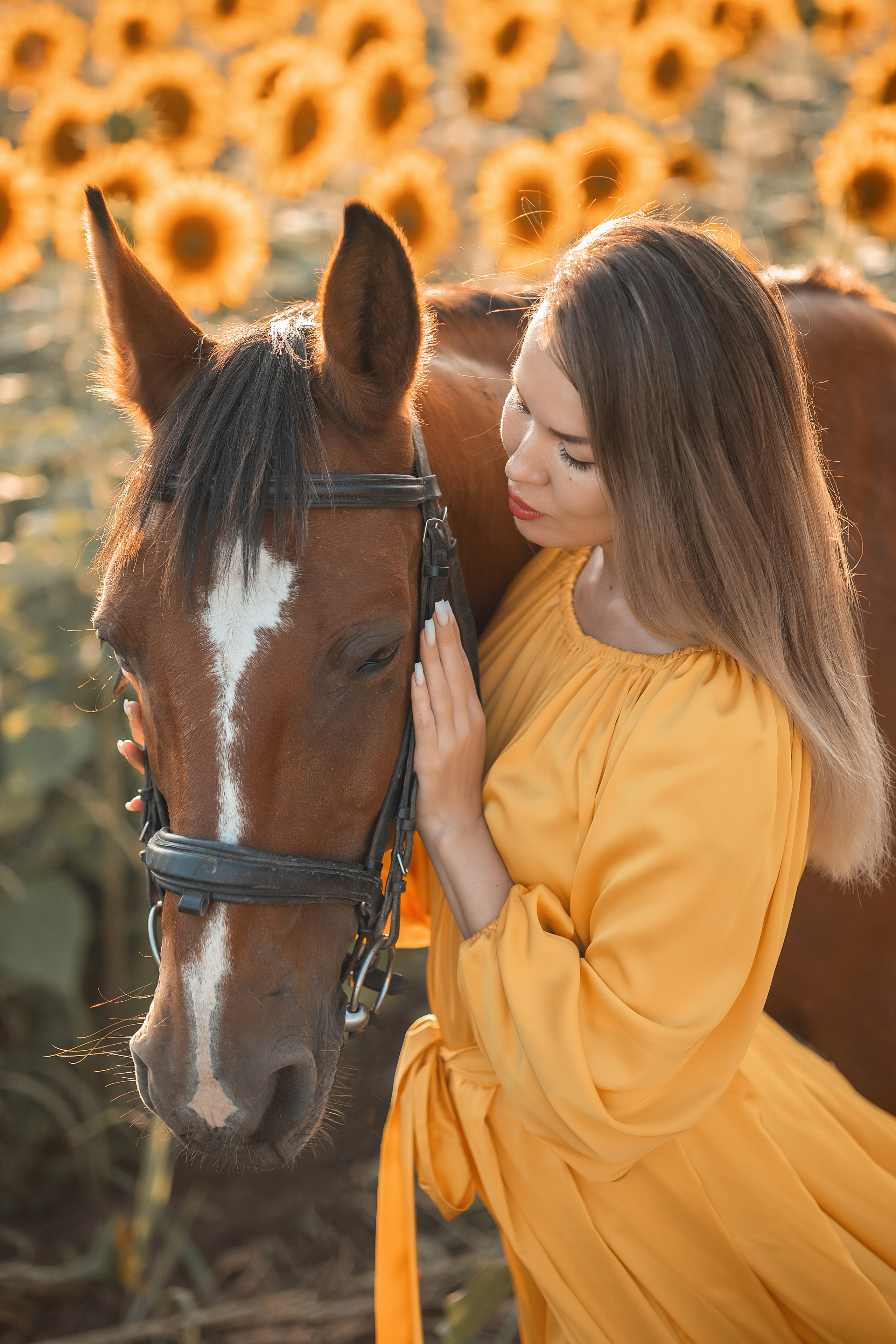 Лошади. Художественный фотограф Анапа Александра Долбикова