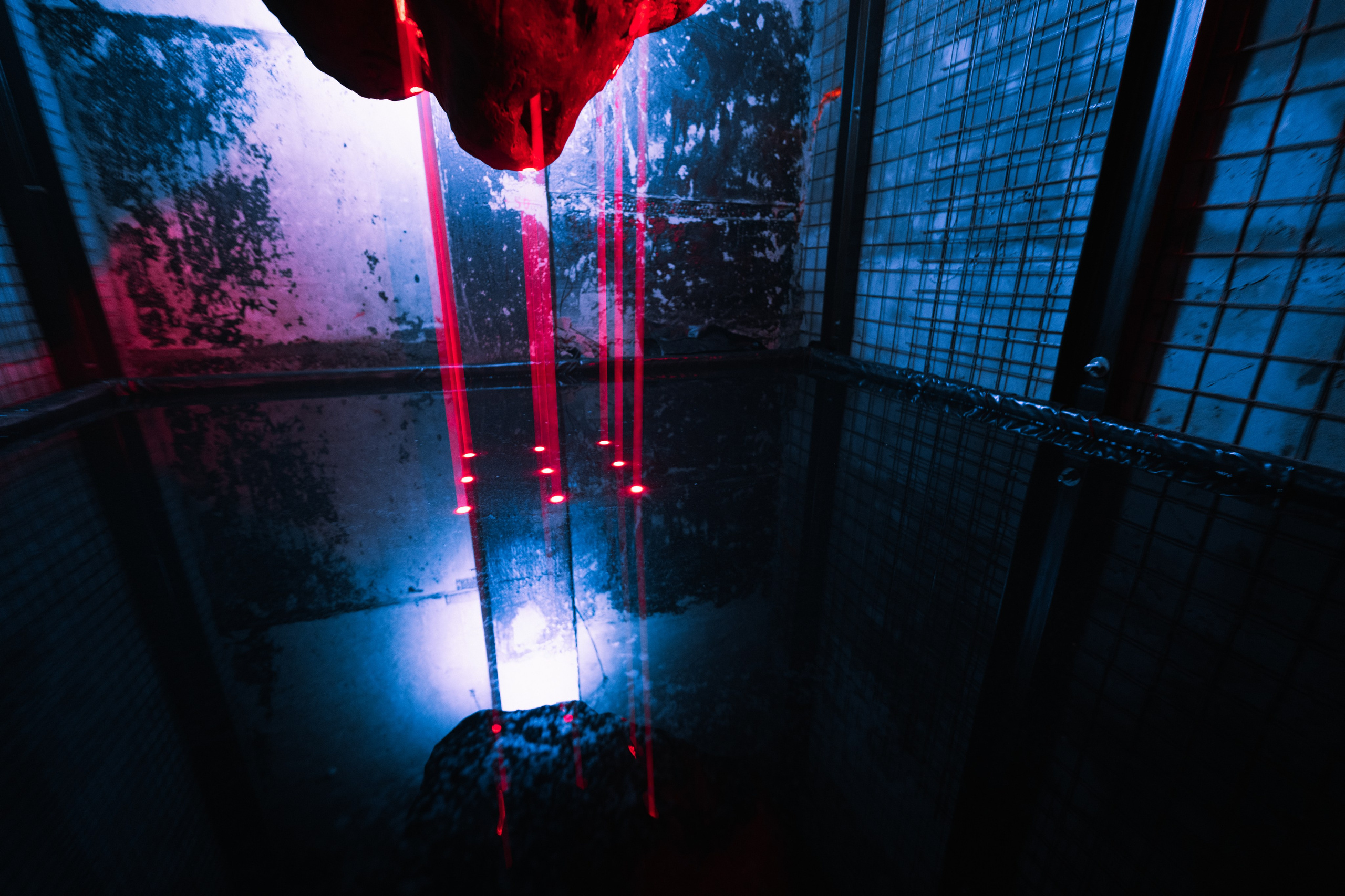 Outline 2024. @tomrus: Рустам Шагиморданов — фотограф