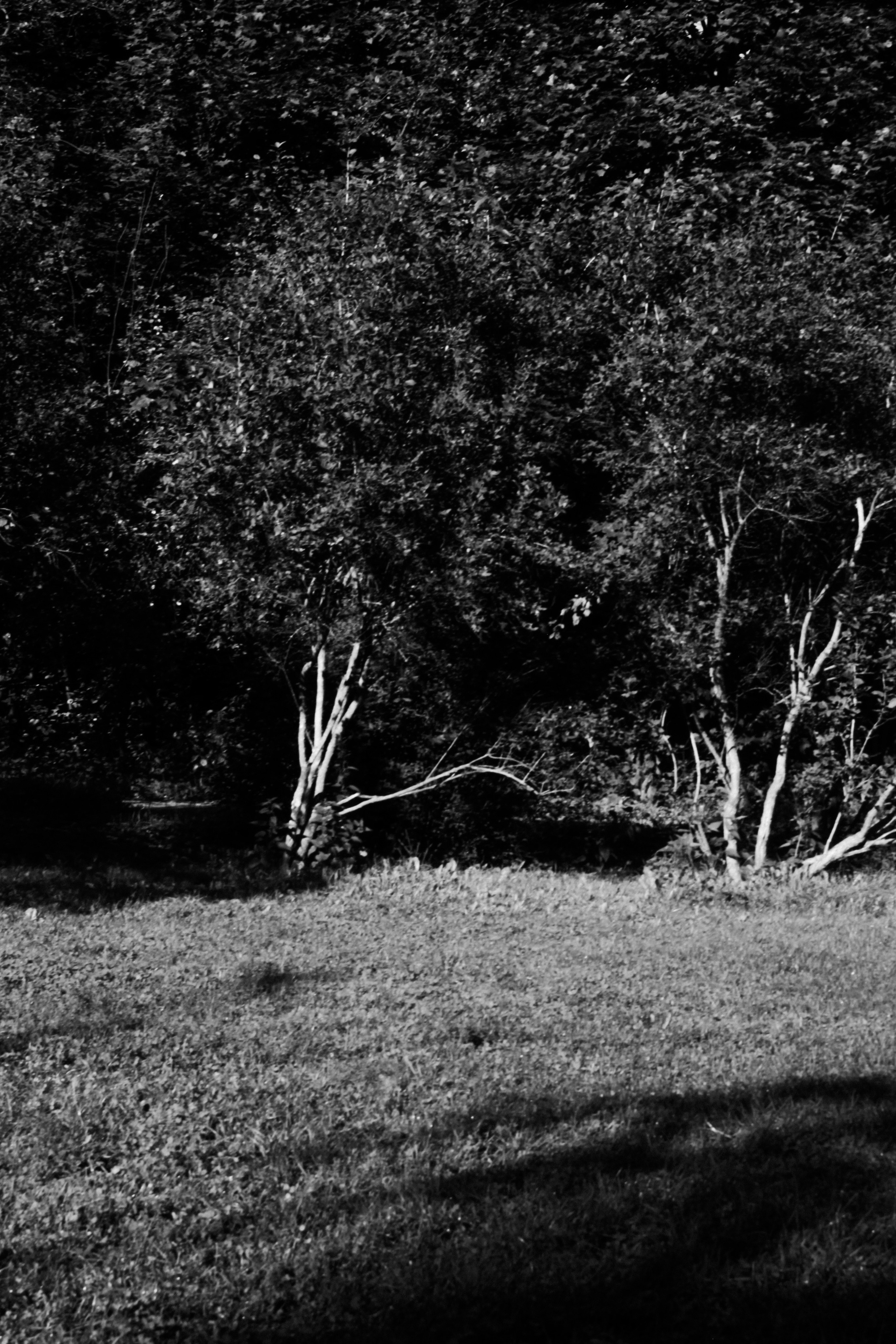 ARHITECTURE / INTERIOR / окружение. Портретный и ню фотограф в Москве Александра Мишура