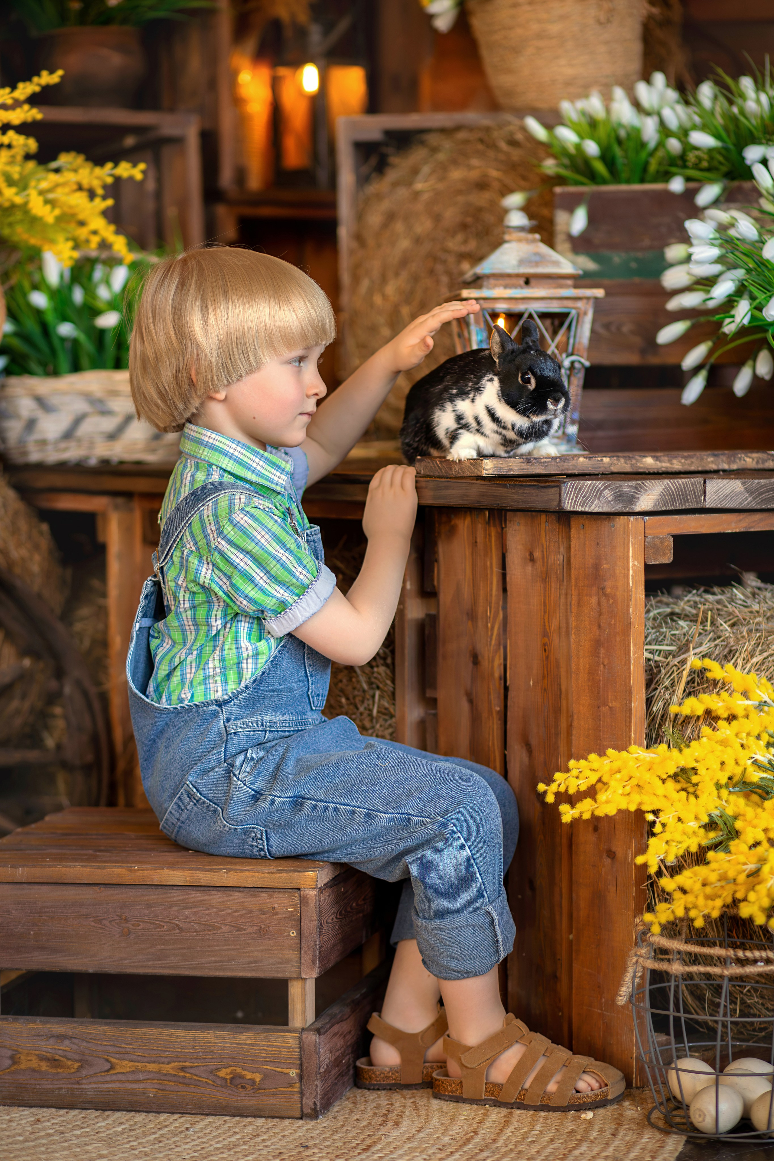 Фотосессии в студии. Фотограф в Москве