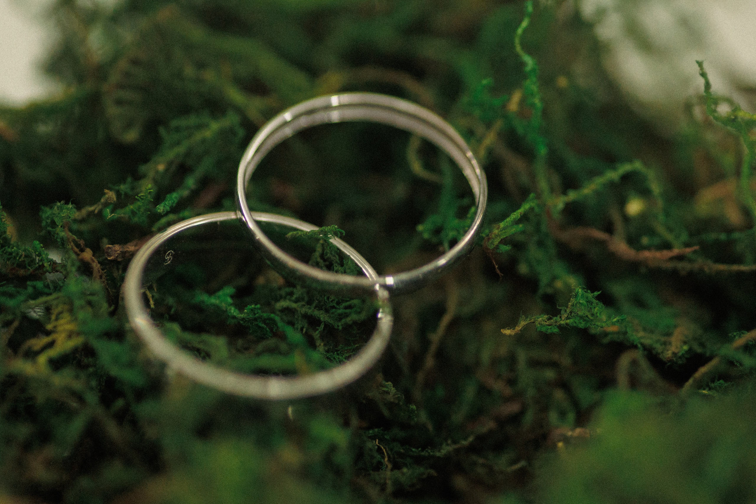 Свадьбы. Свадебный фотограф в Ростове-на-Дону Лилия Паккерт