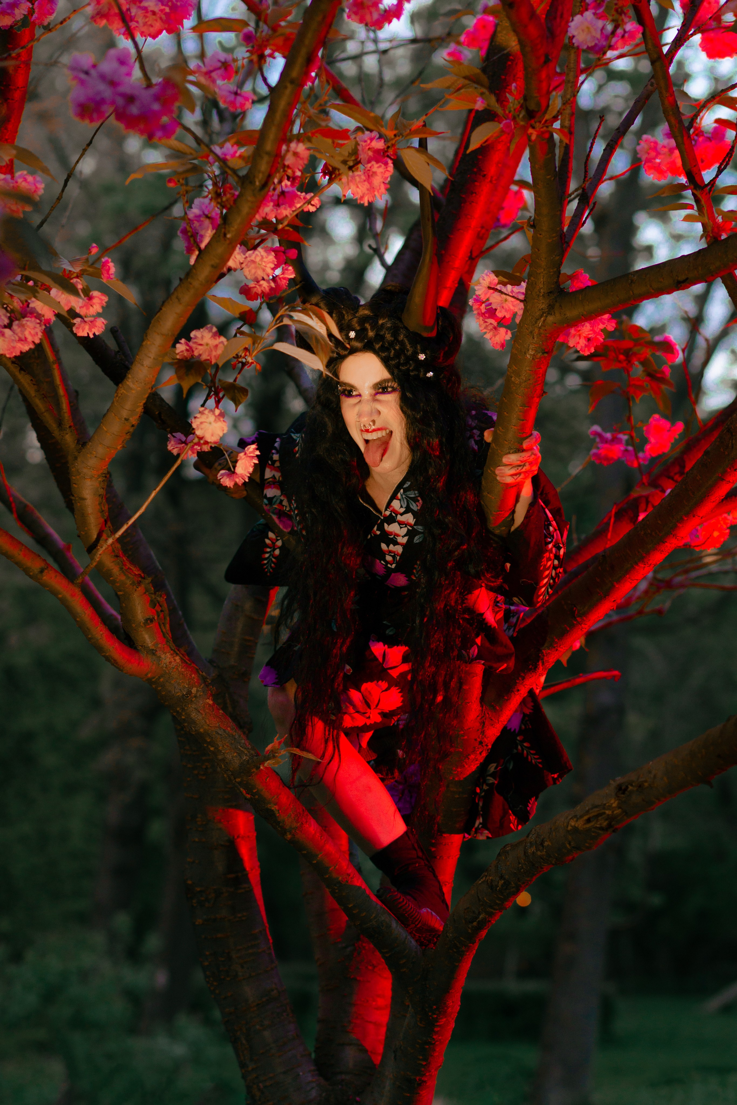 Кирисакура- соцветия вишни в тумане