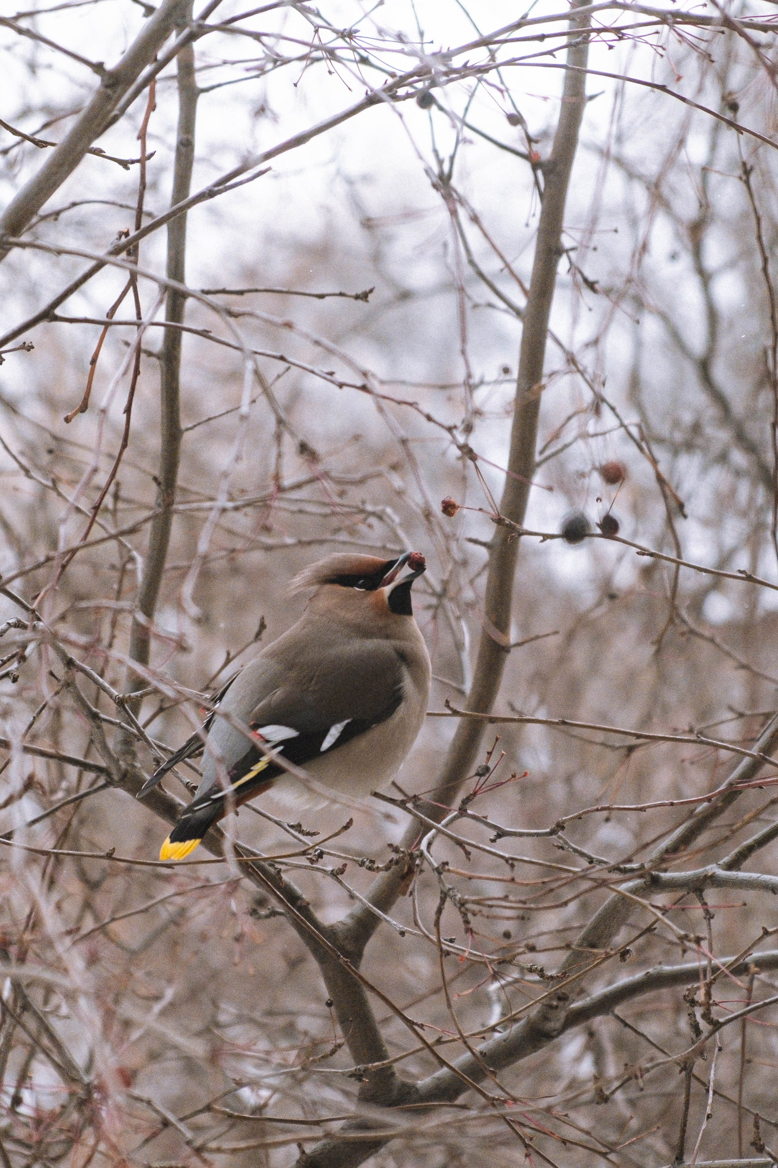 Замечательная повседневность. Контент-фотограф и видеограф в Перми