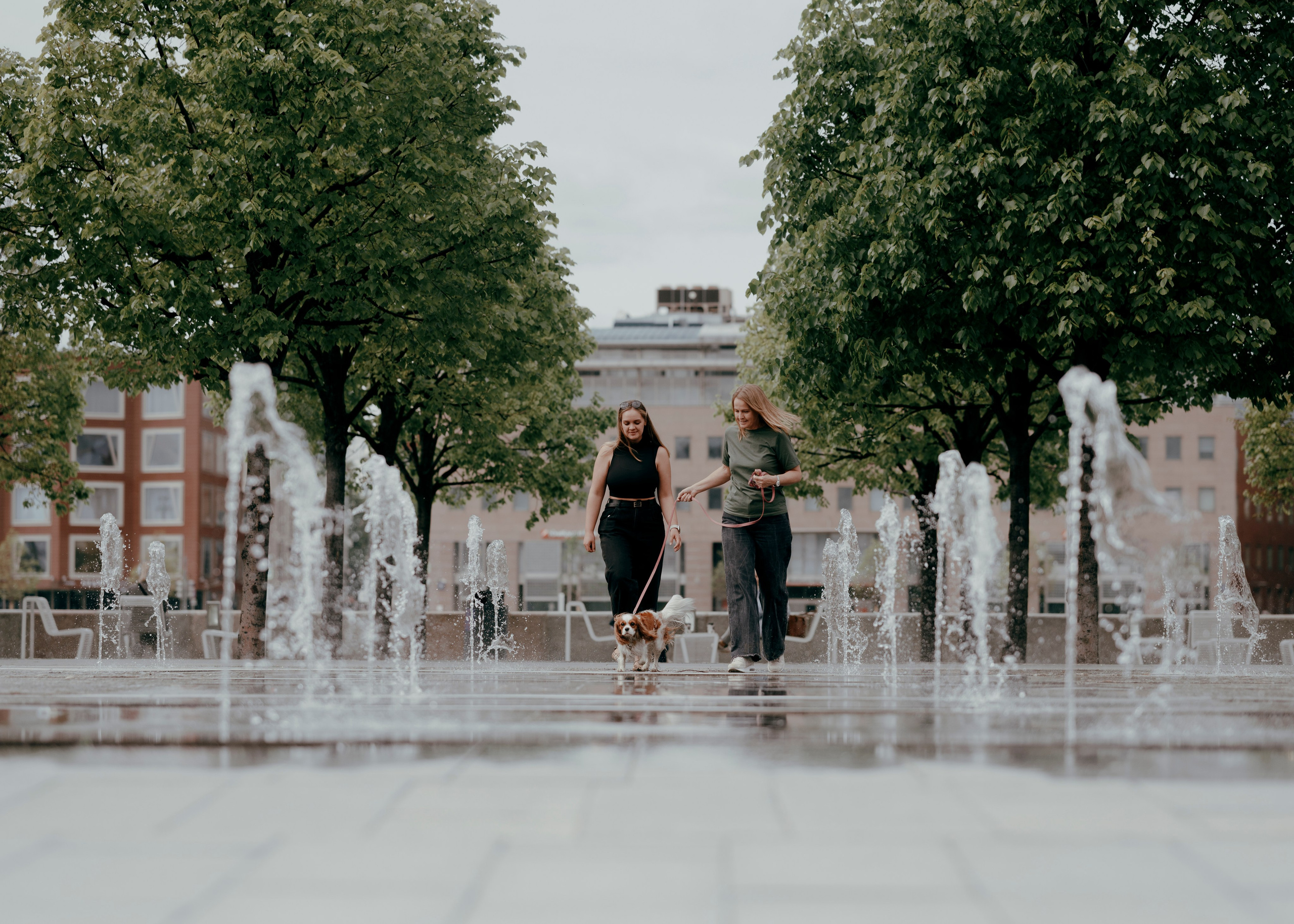 Дольче. Фотограф- анималист Александра Матвеева