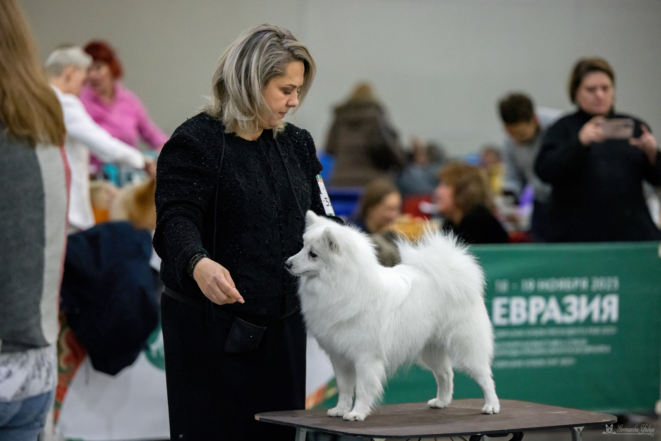 ЕВРАЗИЯ 18-19.11.2023. Фотограф-анималист Юлия Германика
