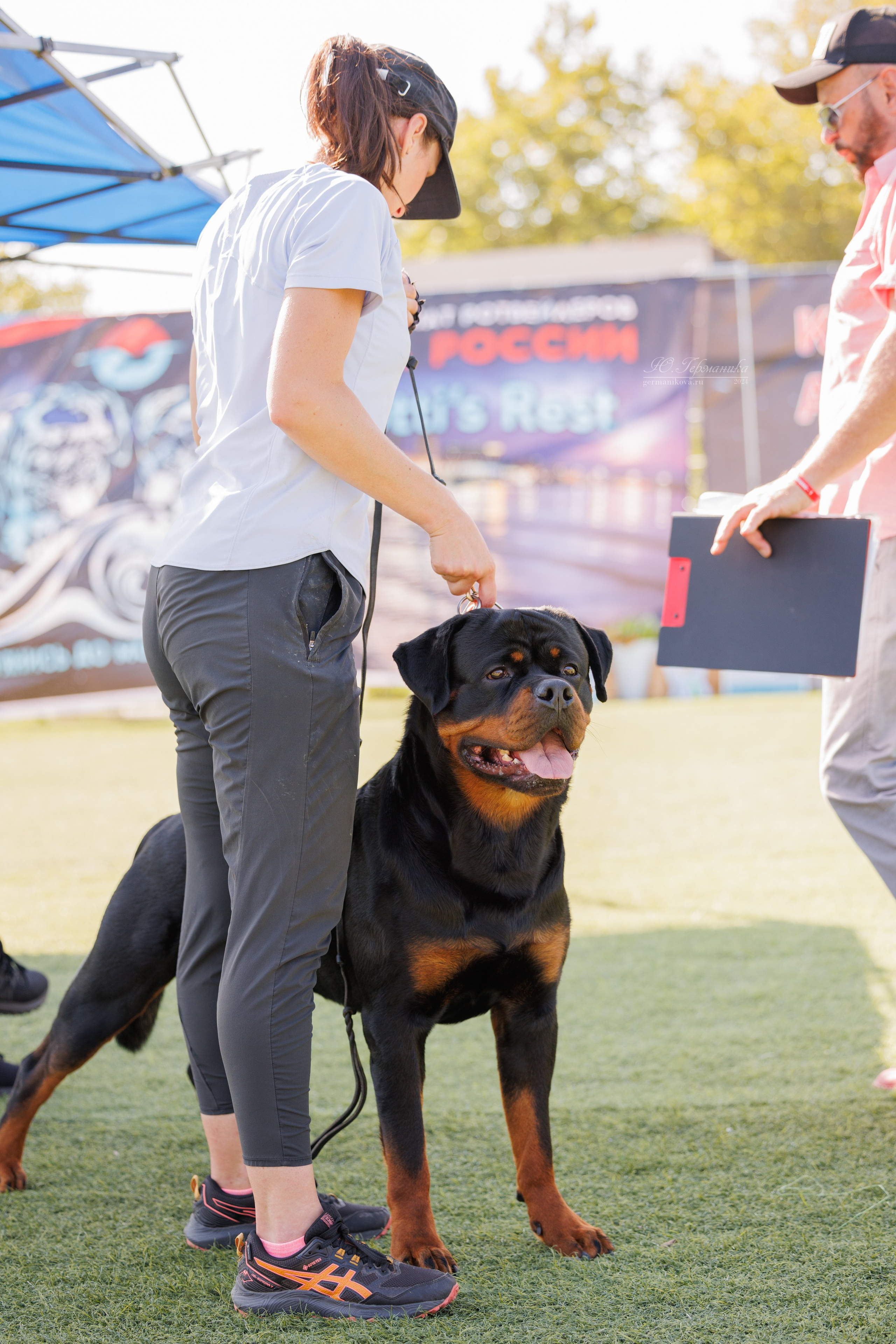 Анапа ротвейлеры 14-15.09.2024. Фотограф-анималист Юлия Германика