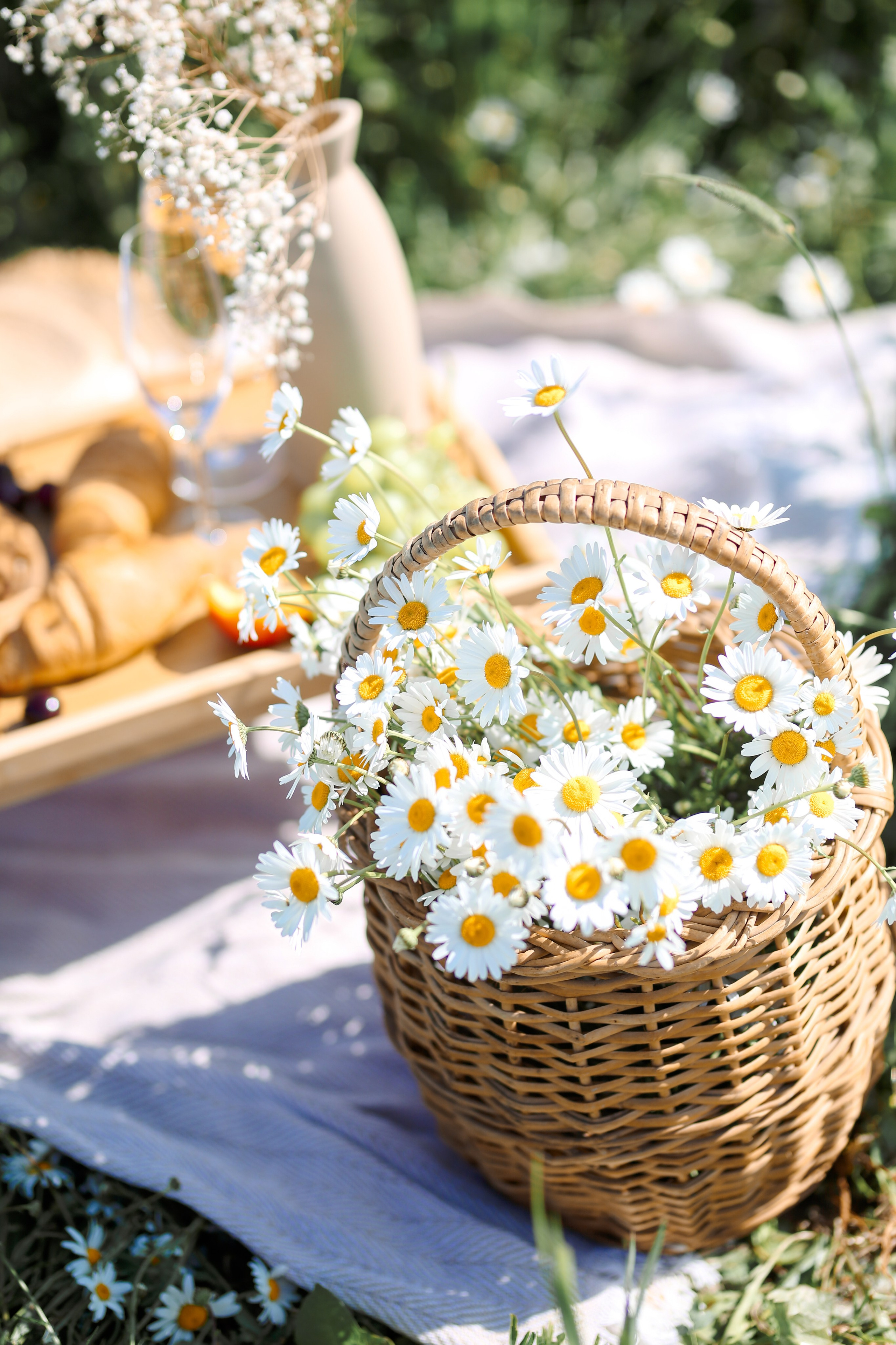 Ромашковое поле. Фотограф Анастасия Залевская
