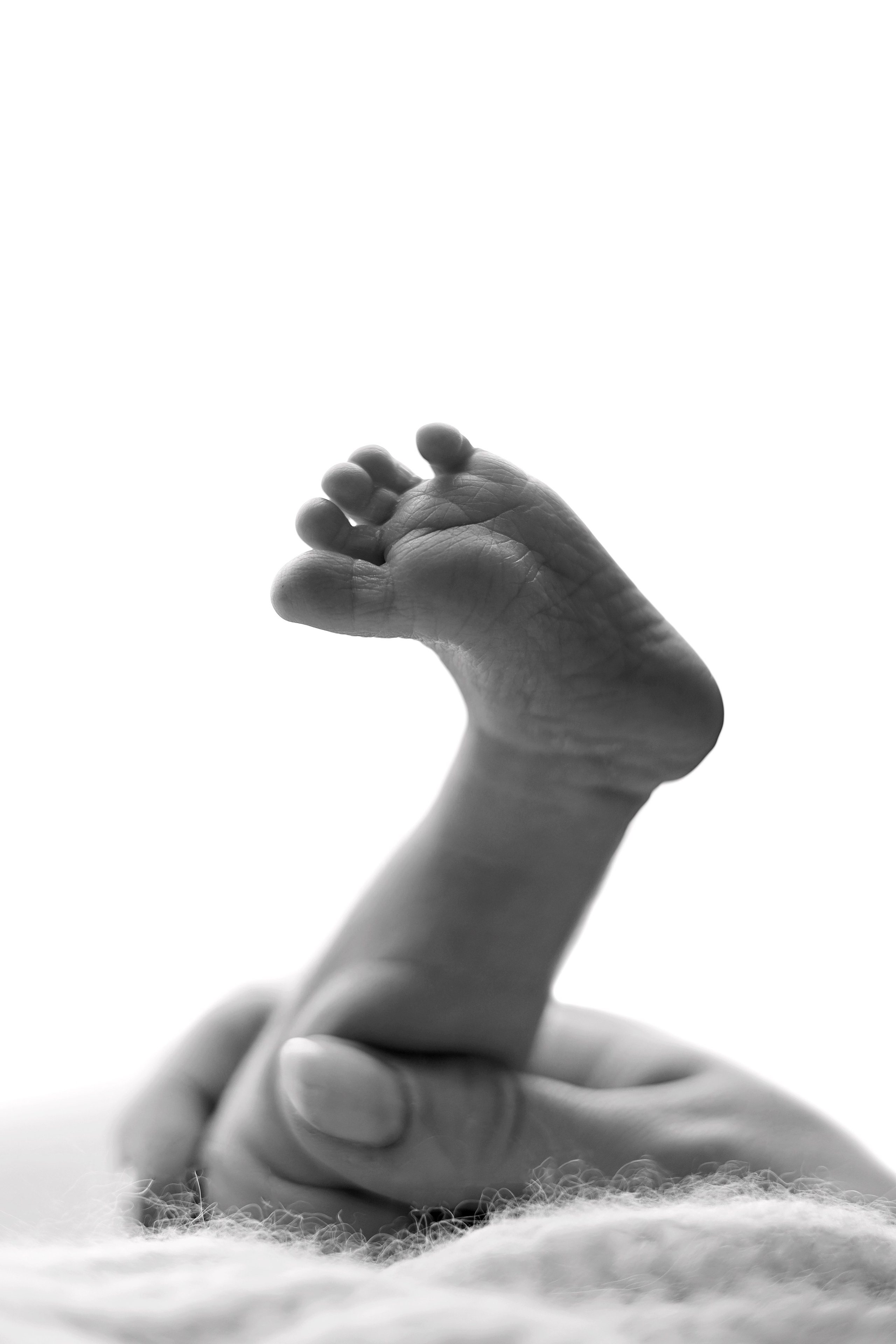 Ньюборн фотосессия Артемия. Фотограф новорожденных в Москве. Фотограф новорожденных Москва. Ньюборн фотограф Москва