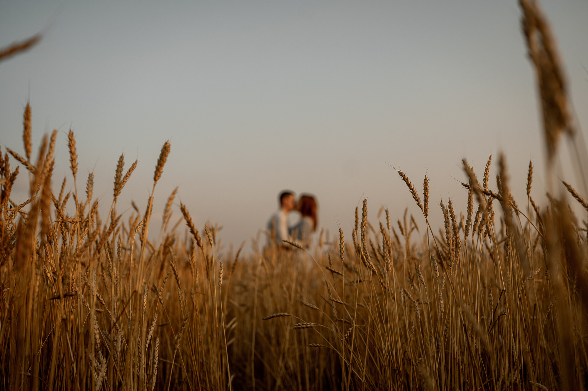 Андрей и Юлия. Свадебный фотограф в Тюмени Анастасия Конева