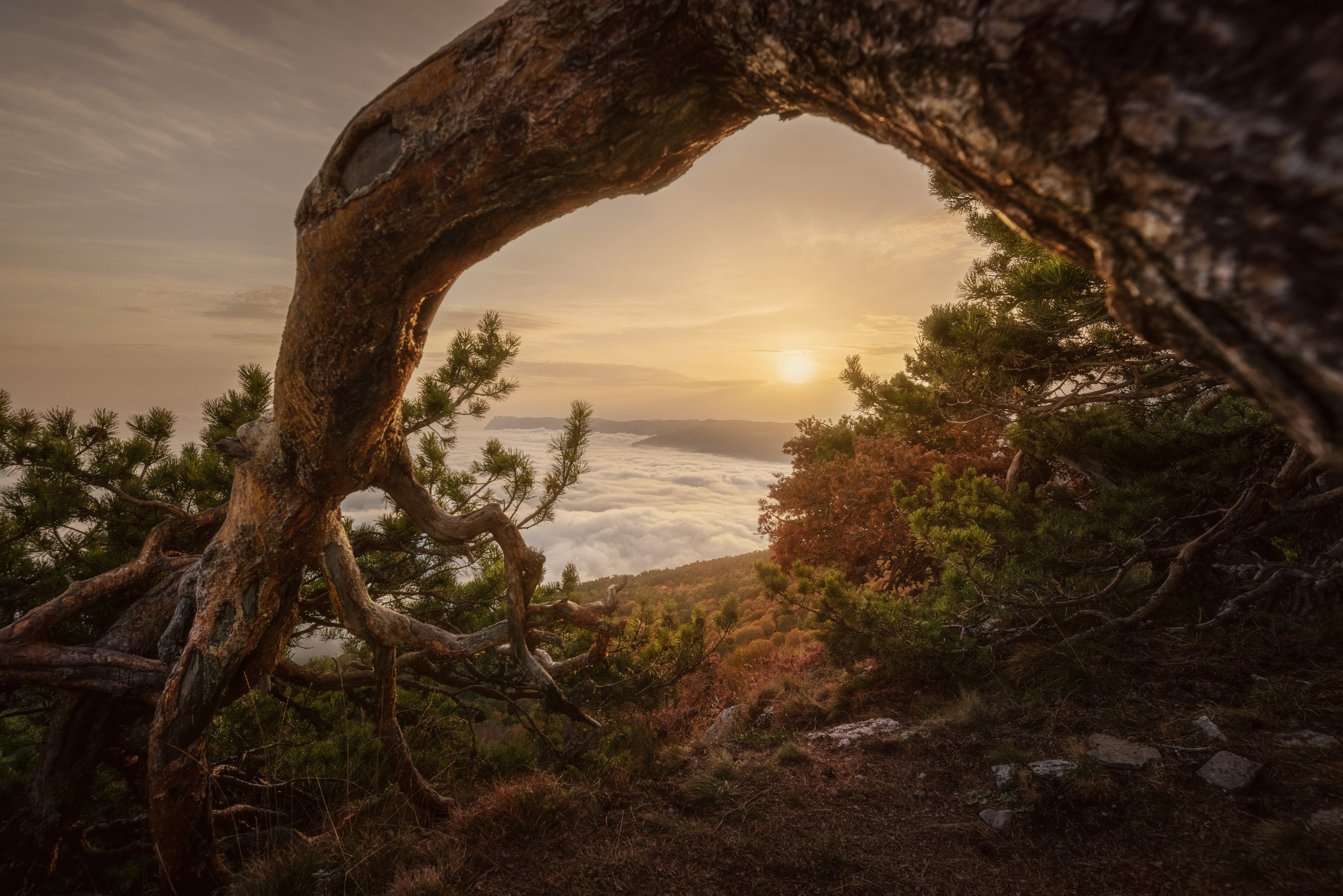 Фотограф Антон Денисенко: Портрет, Документалистика, Пейзаж. Фотограф Антон Денисенко: Портрет, Документалистика, Пейзаж. Москва