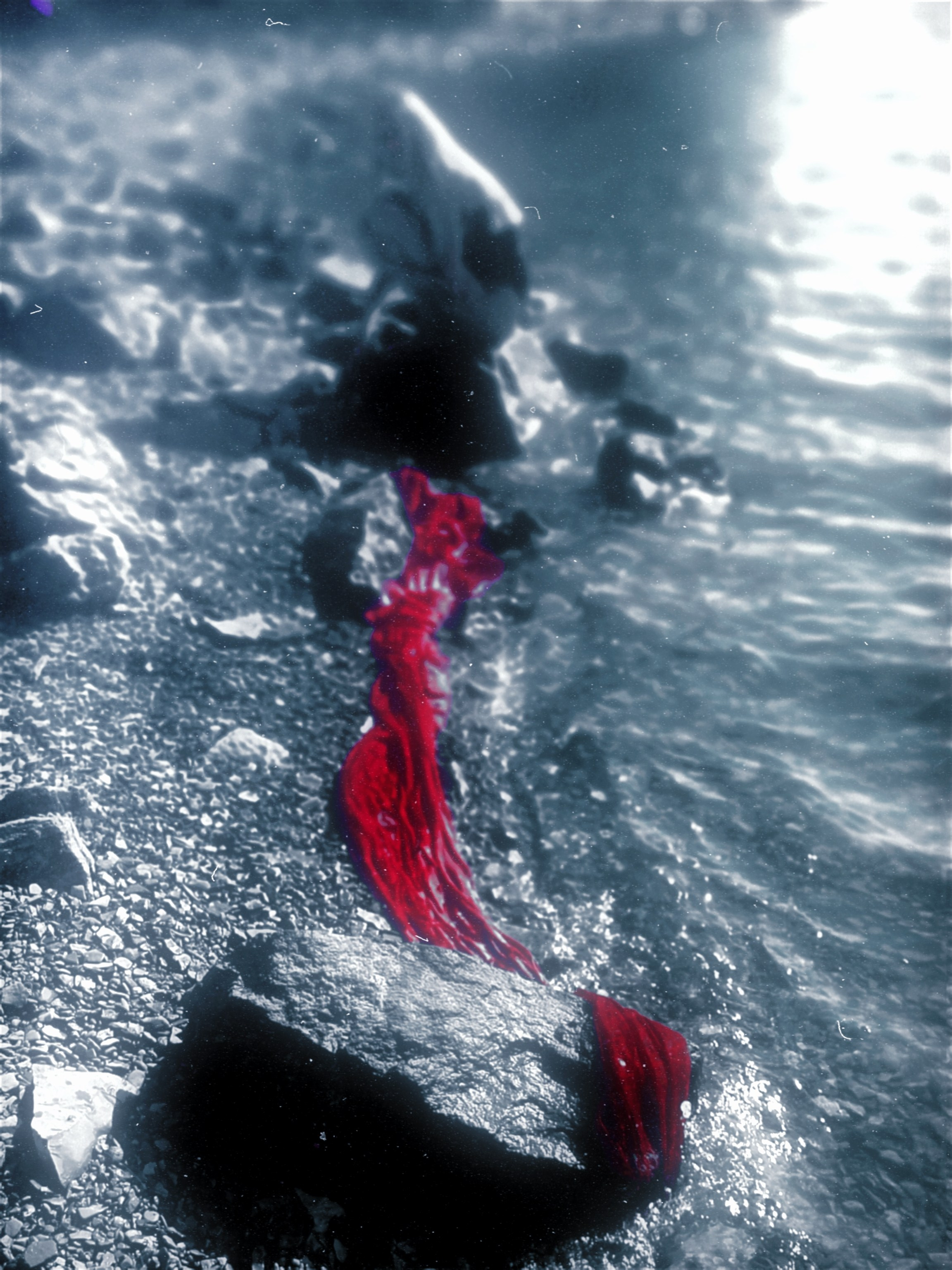 You are the art | индивидуальная съёмка. Sveti Sveta • визуальный артист Светлана Дубских