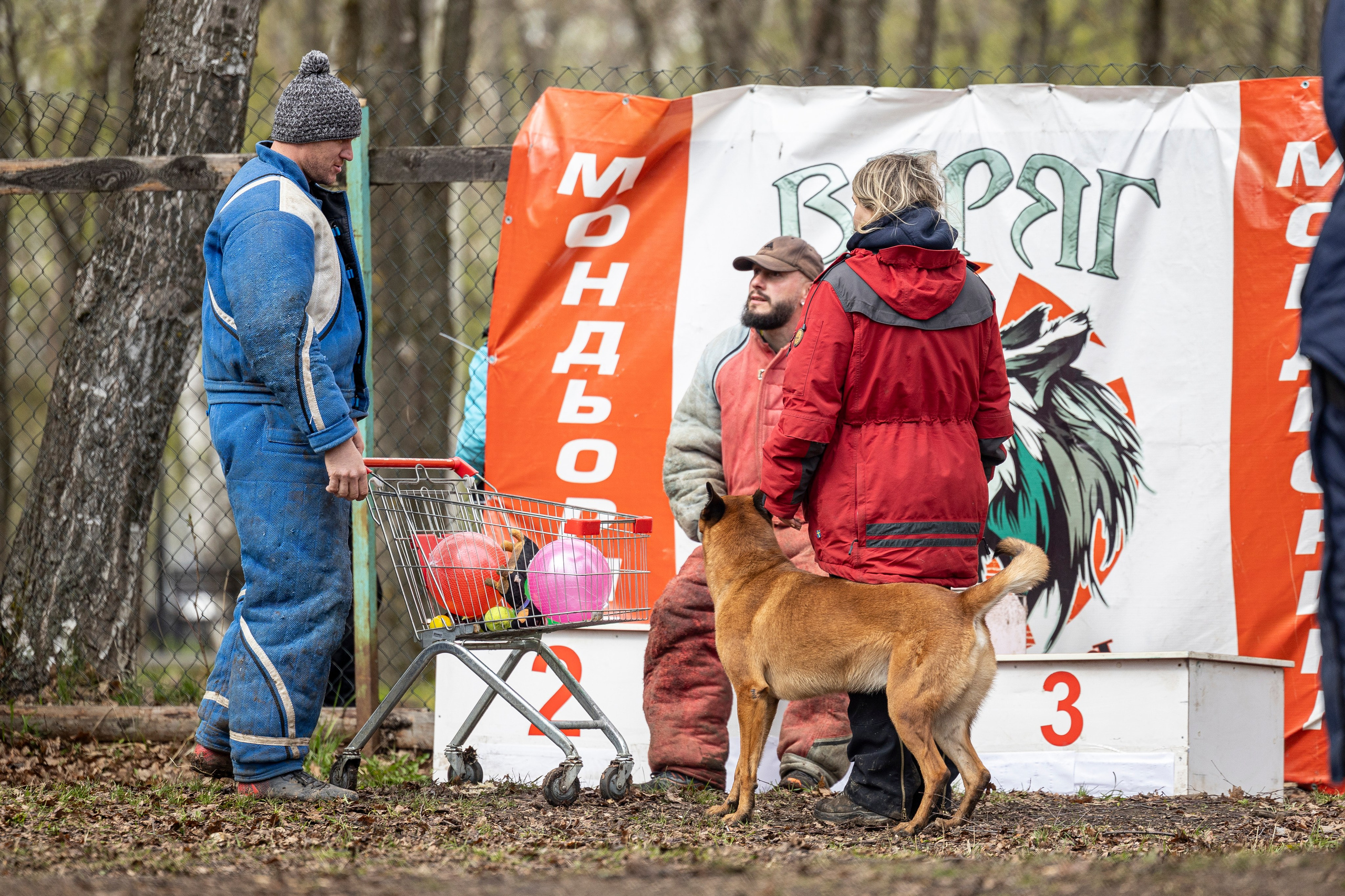Квалификационные состязания по мондьорингу г. Вологда 11.05.24. Фотограф-анималист Анна Маринич