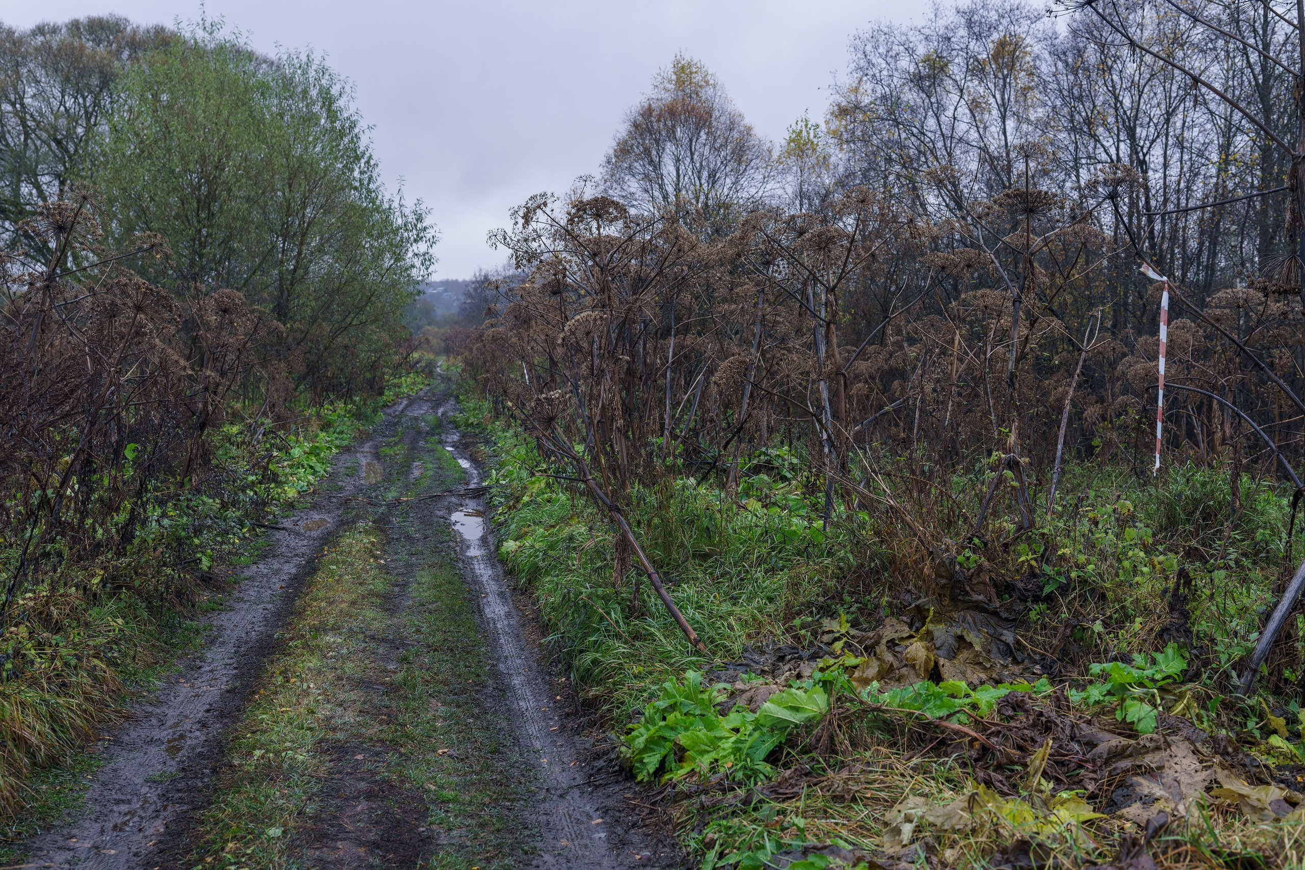 Фотографии Трейл Кутузов 2025. Фотограф спортивные события, недвижимость, турбизнес