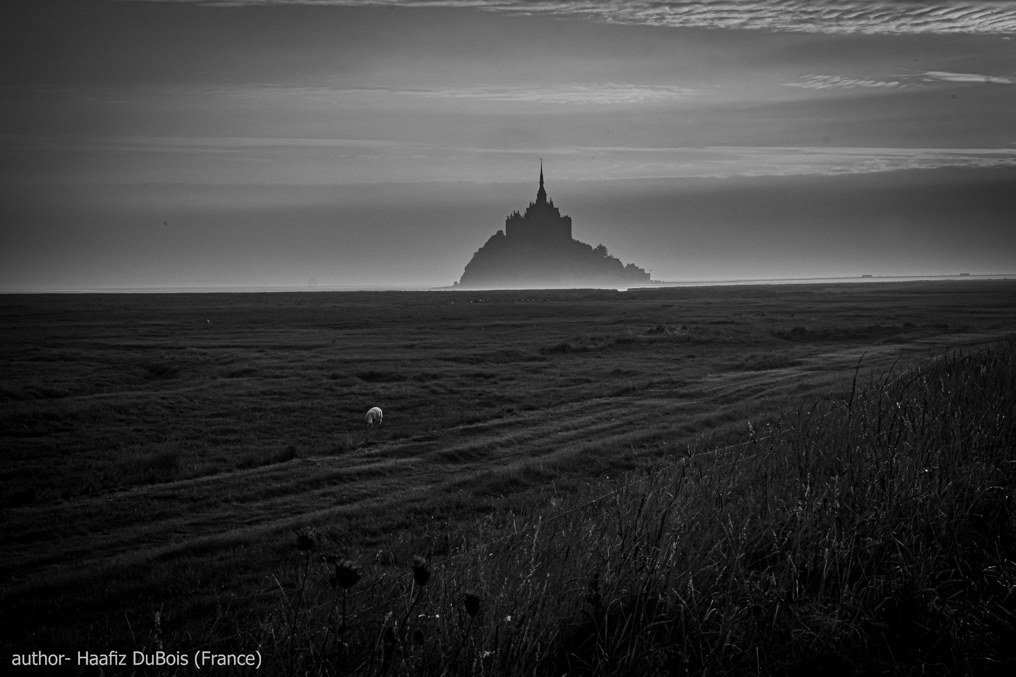 Gallery. UNUSUAL TALENT magazine