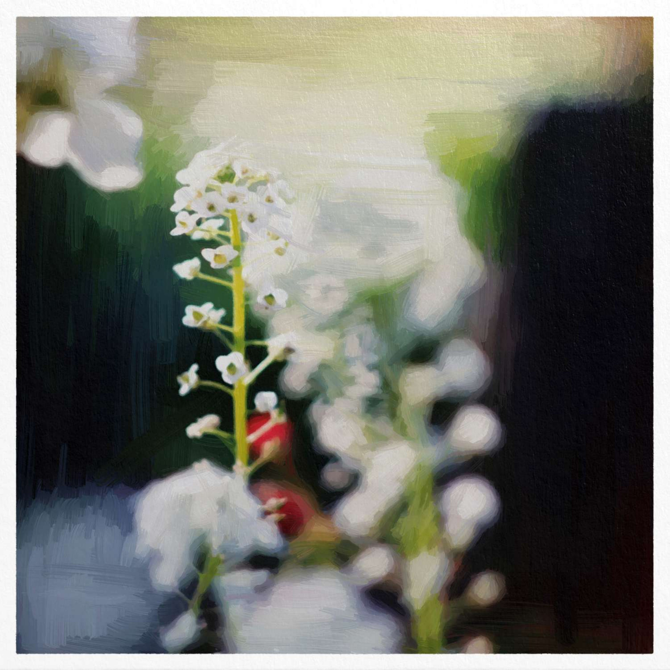 Юля Сидорова