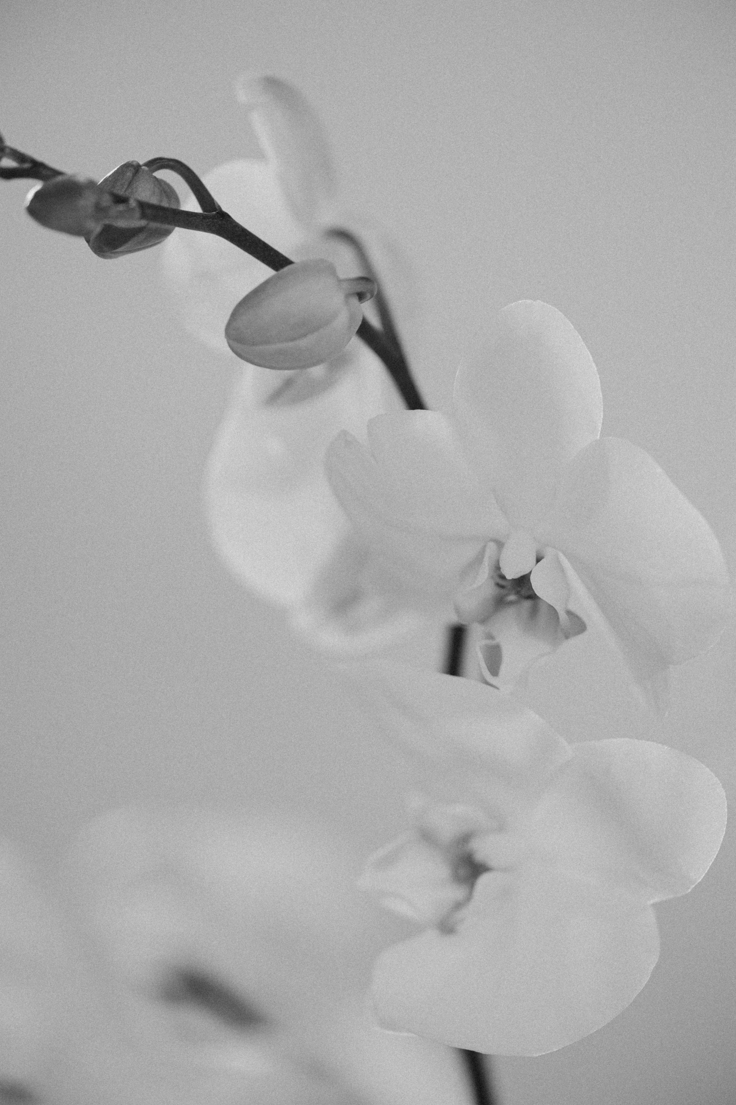 2. Свадебный фотограф Марусина Катерина