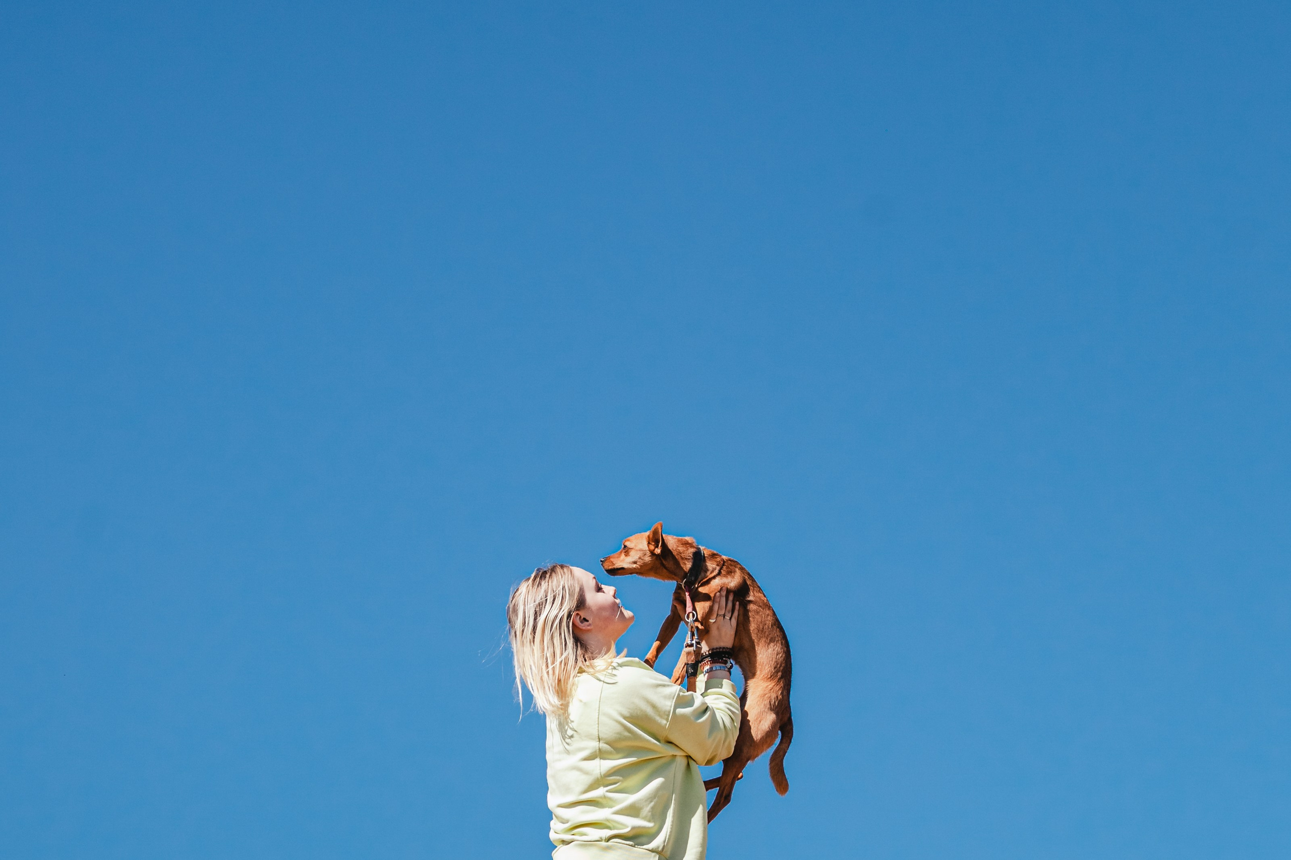 Кондуки. Фотограф-анималист Татьяна Степанова