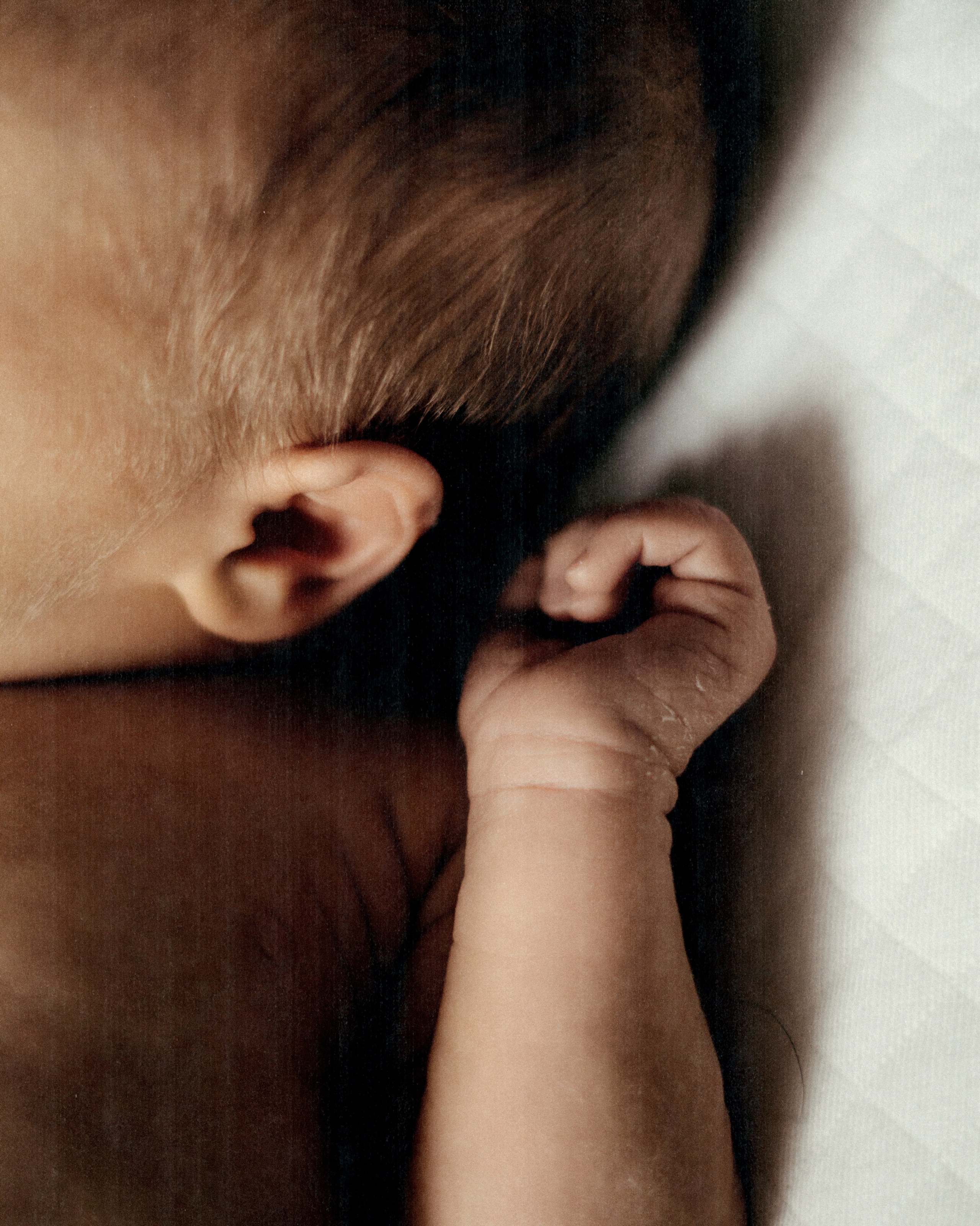 Gosha. SHILOVA PHOTO. Шилова Екатерина. Фотограф. Москва